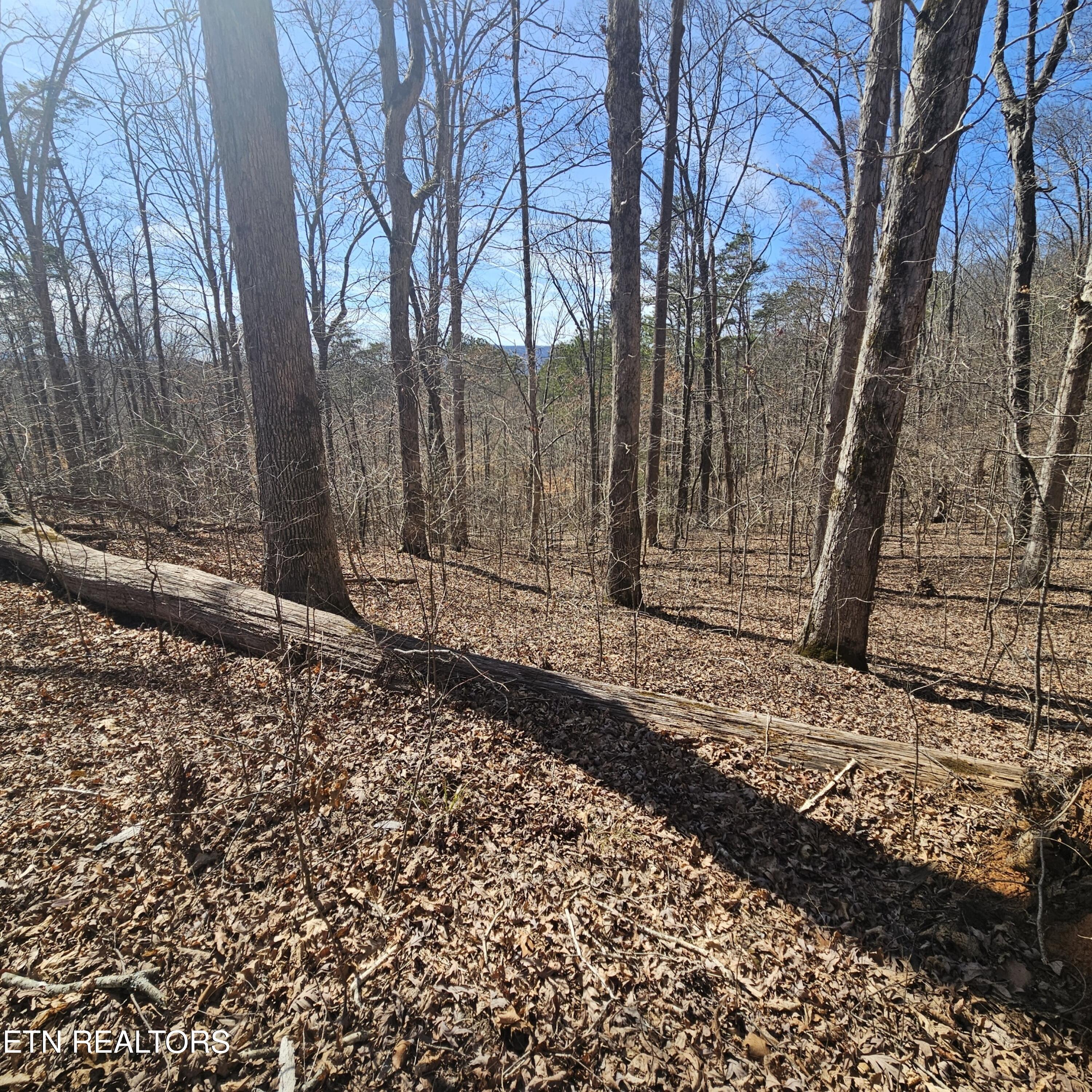 0 Lick Creek Road Tellico Plains TN 37385