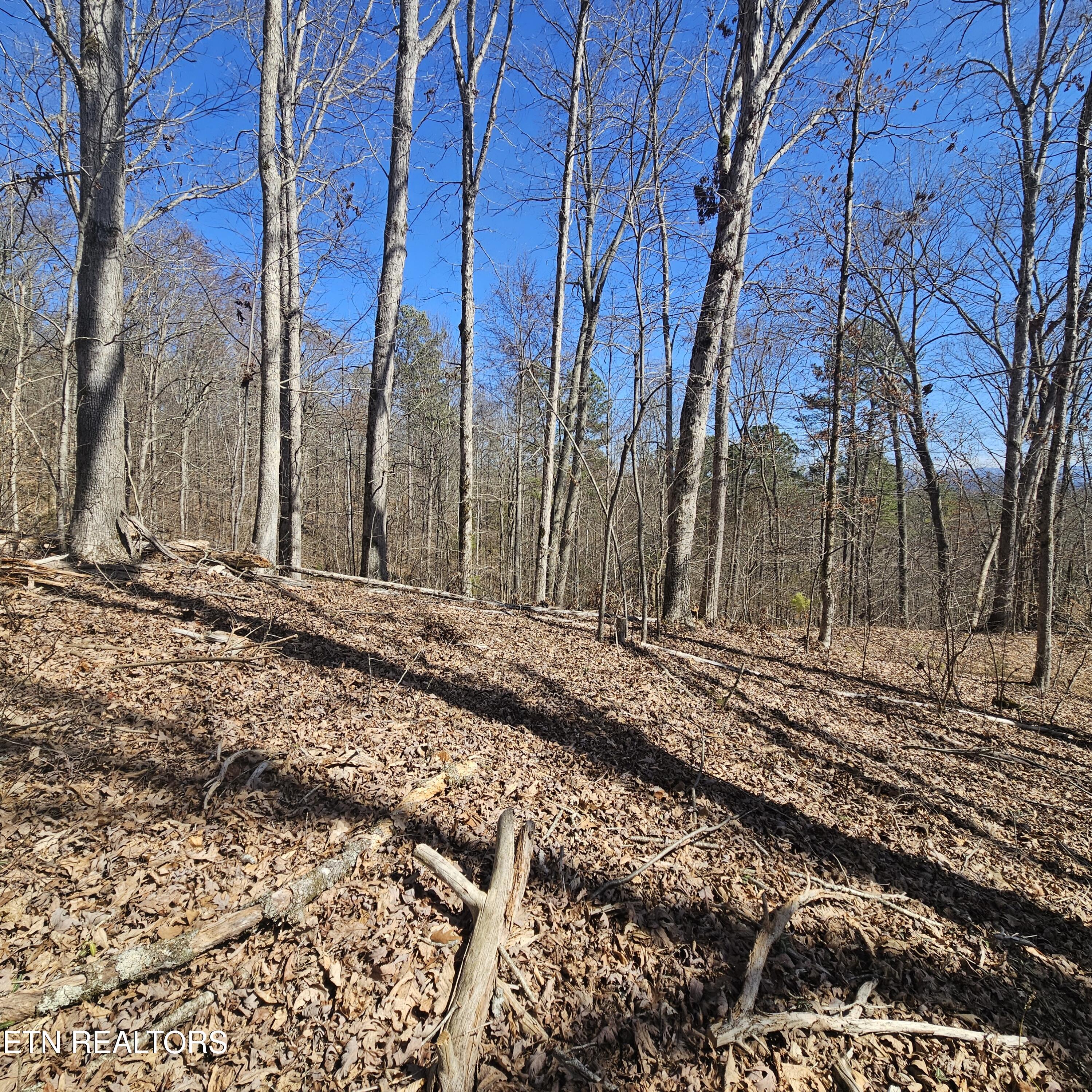 0 Lick Creek Road Tellico Plains TN 37385