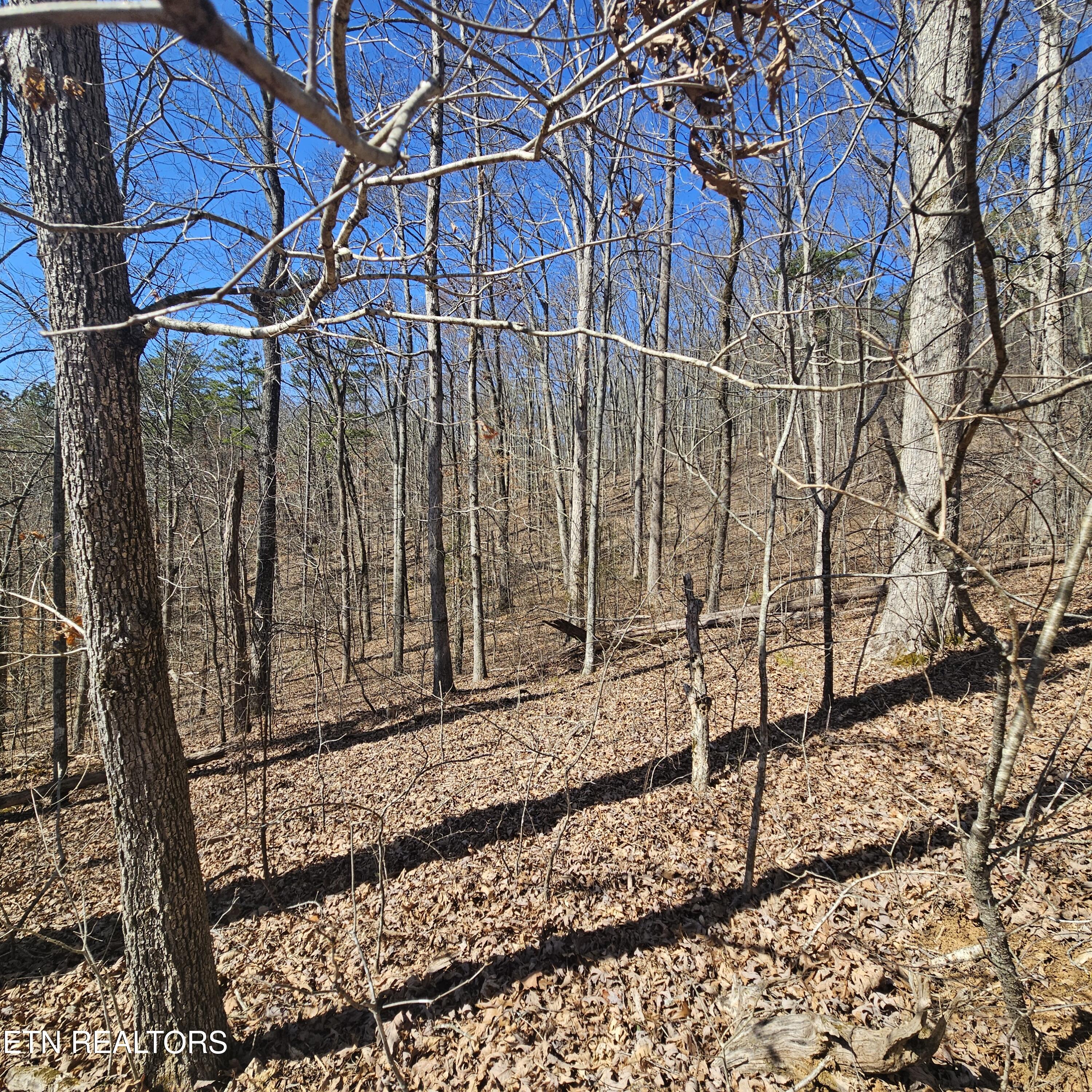 0 Lick Creek Road Tellico Plains TN 37385