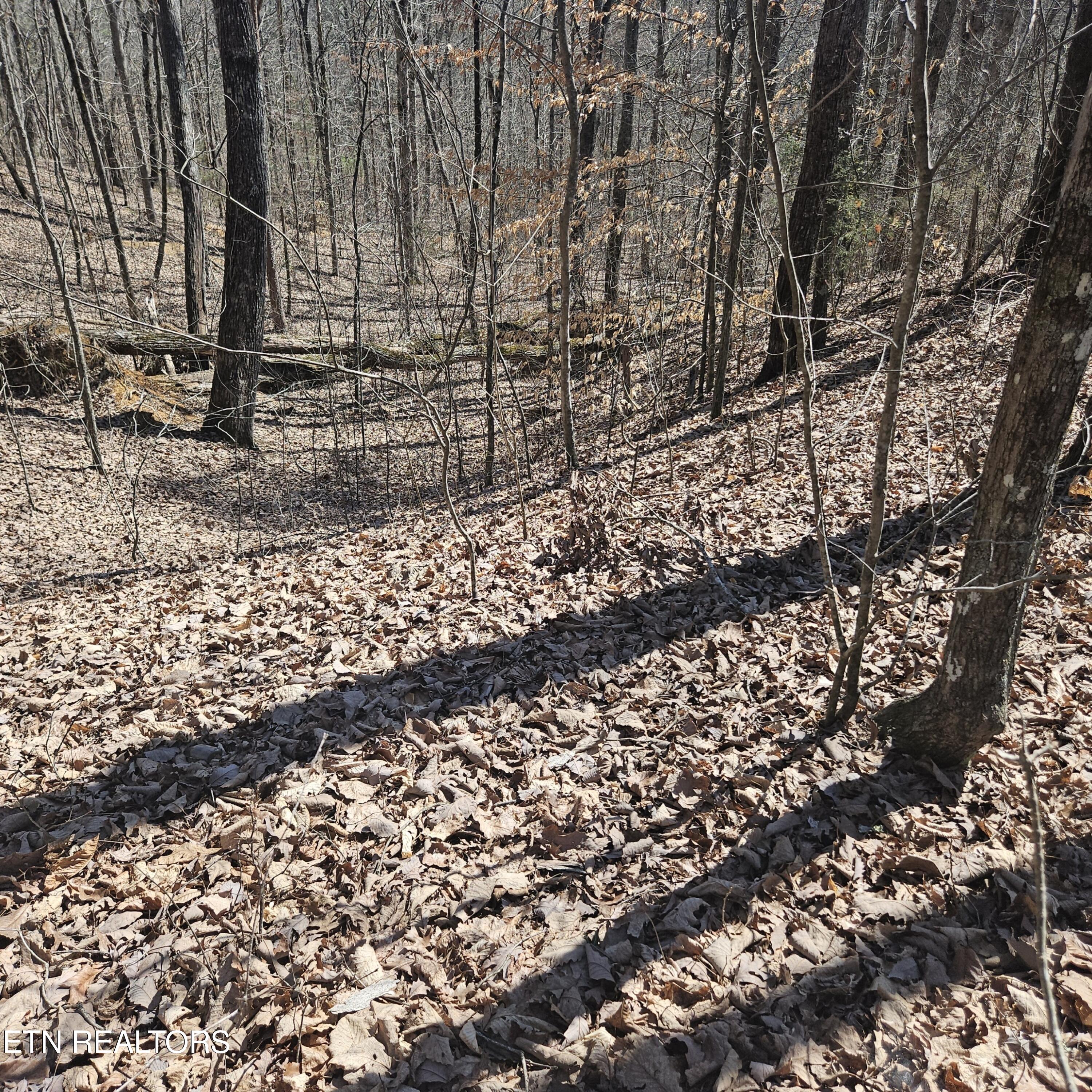 0 Lick Creek Road Tellico Plains TN 37385