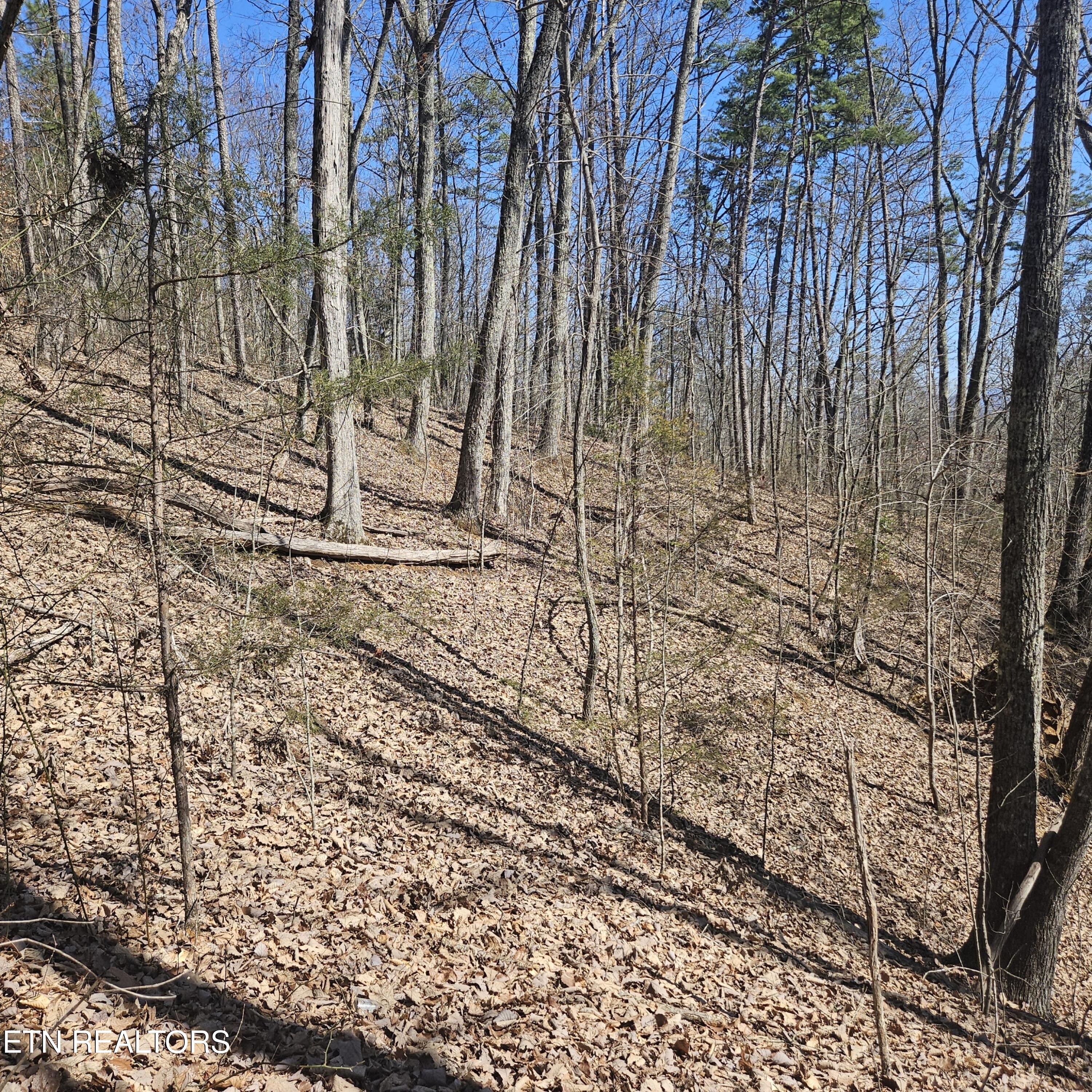 0 Lick Creek Road Tellico Plains TN 37385