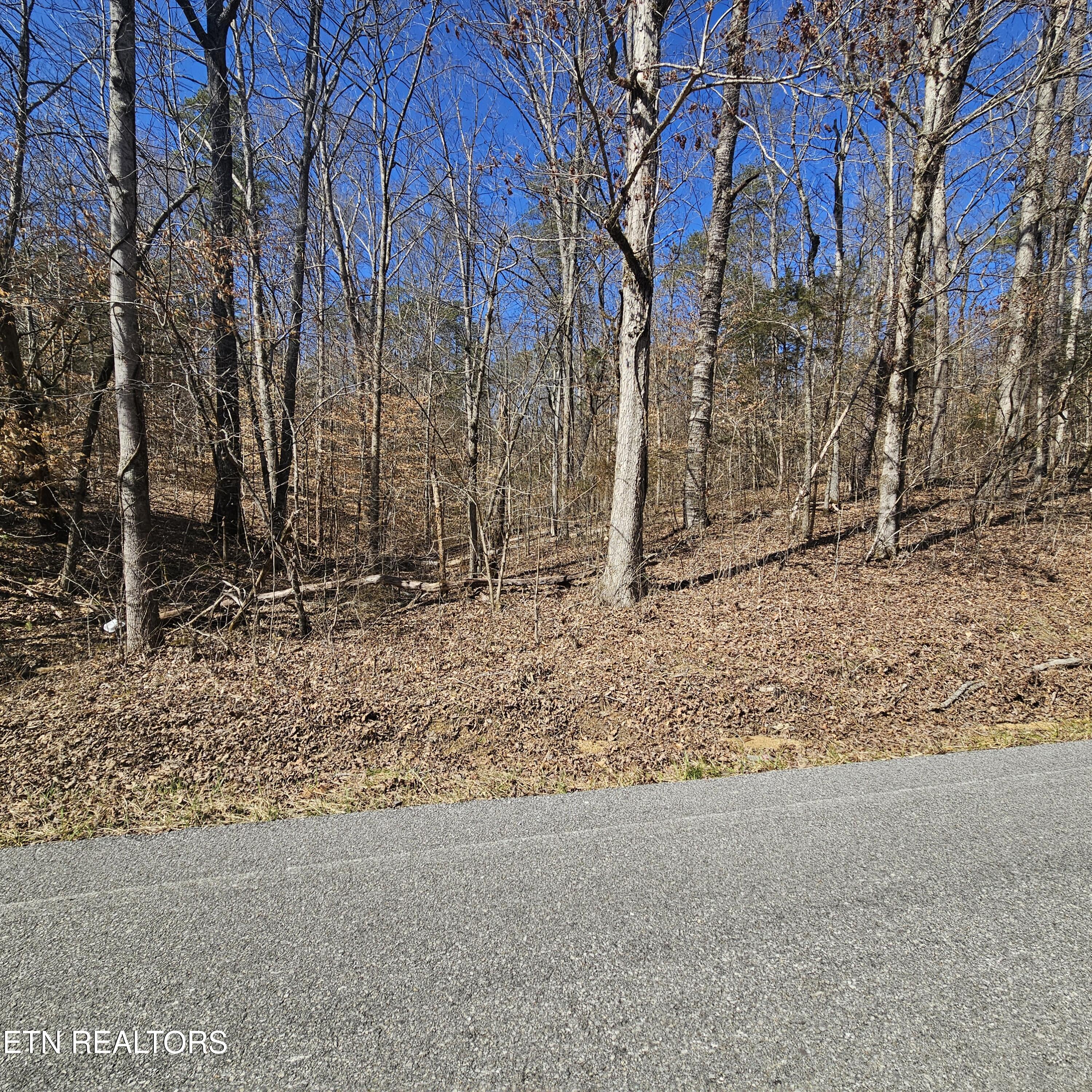 0 Lick Creek Road Tellico Plains TN 37385