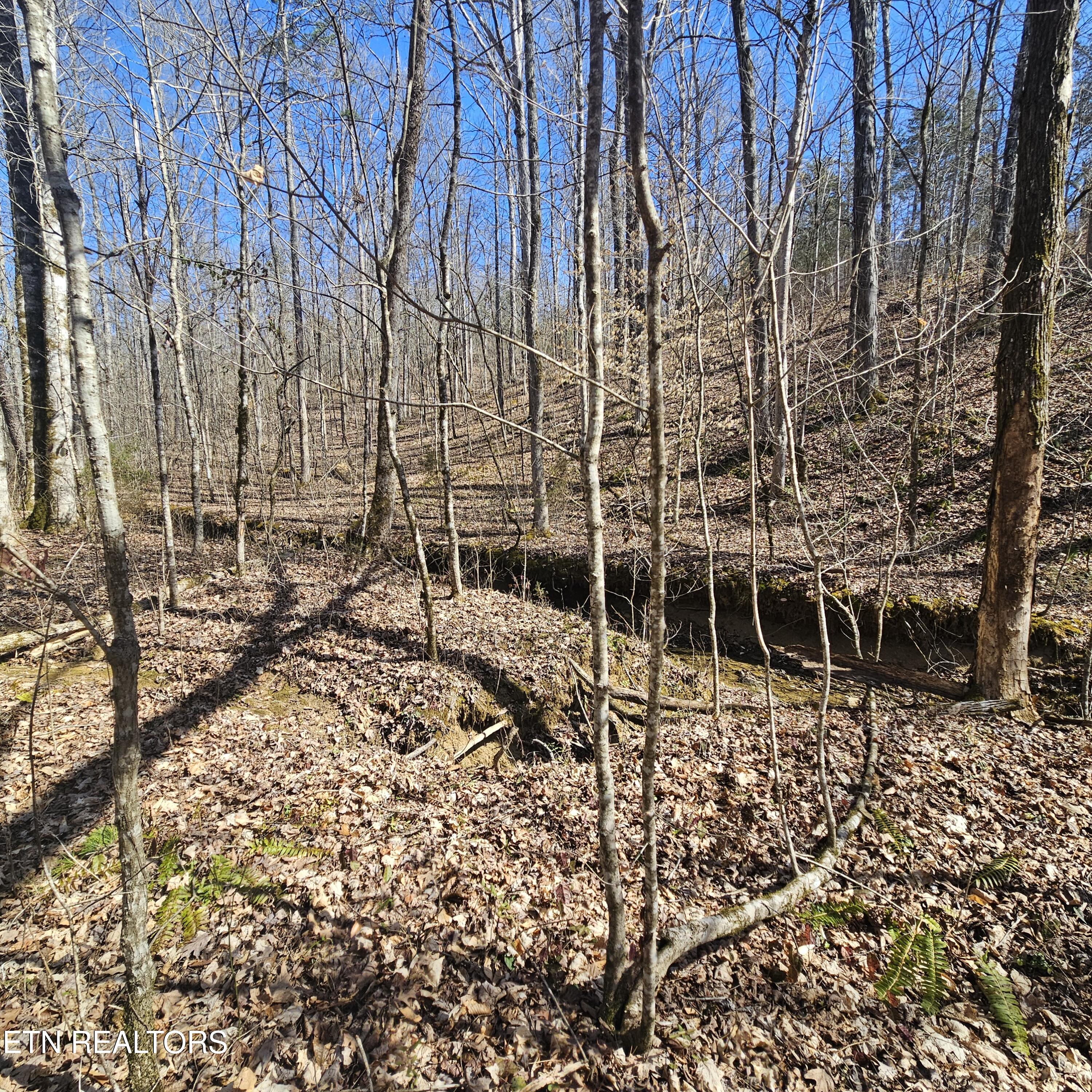 0 Lick Creek Road Tellico Plains TN 37385