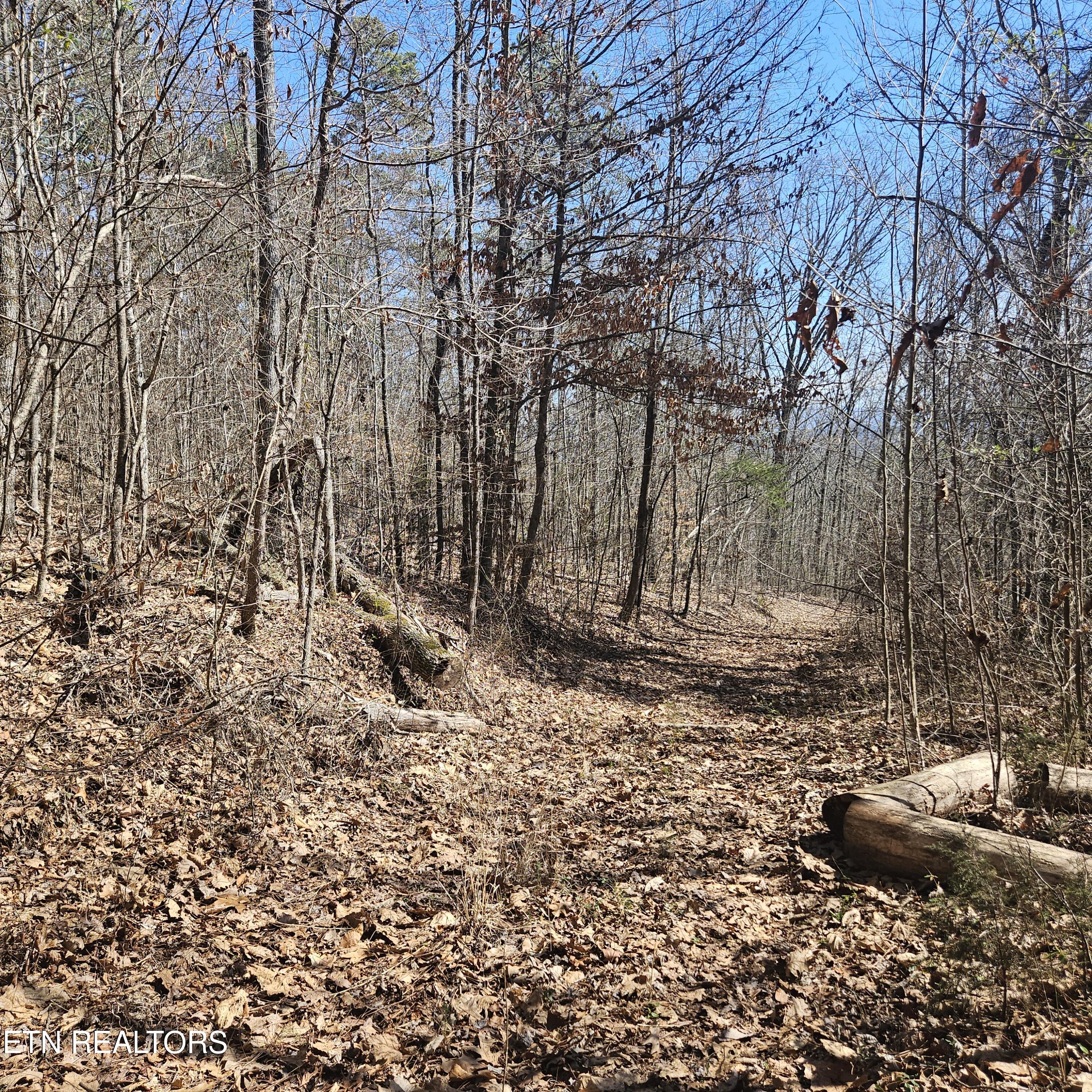 0 Lick Creek Road Tellico Plains TN 37385