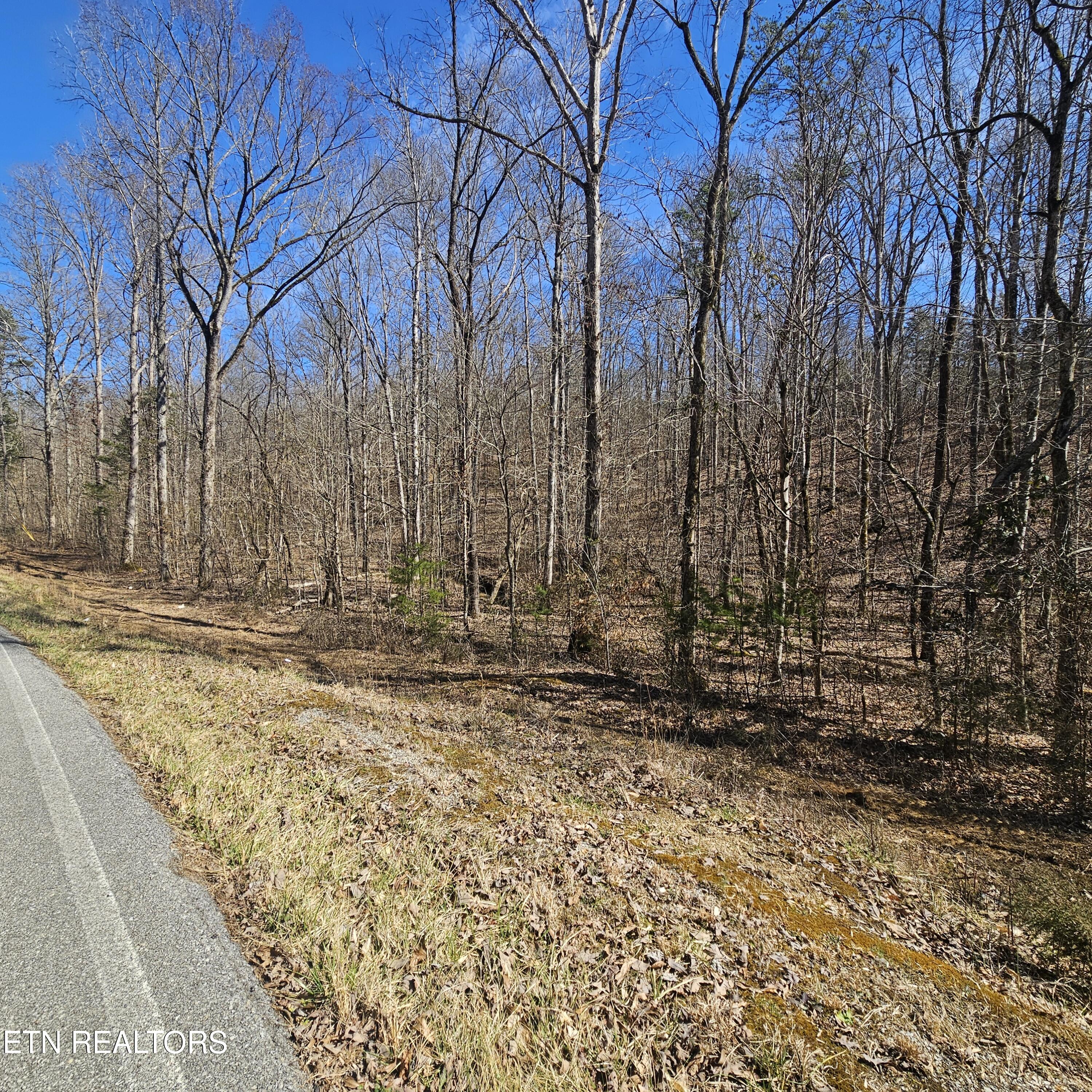 0 Lick Creek Road Tellico Plains TN 37385