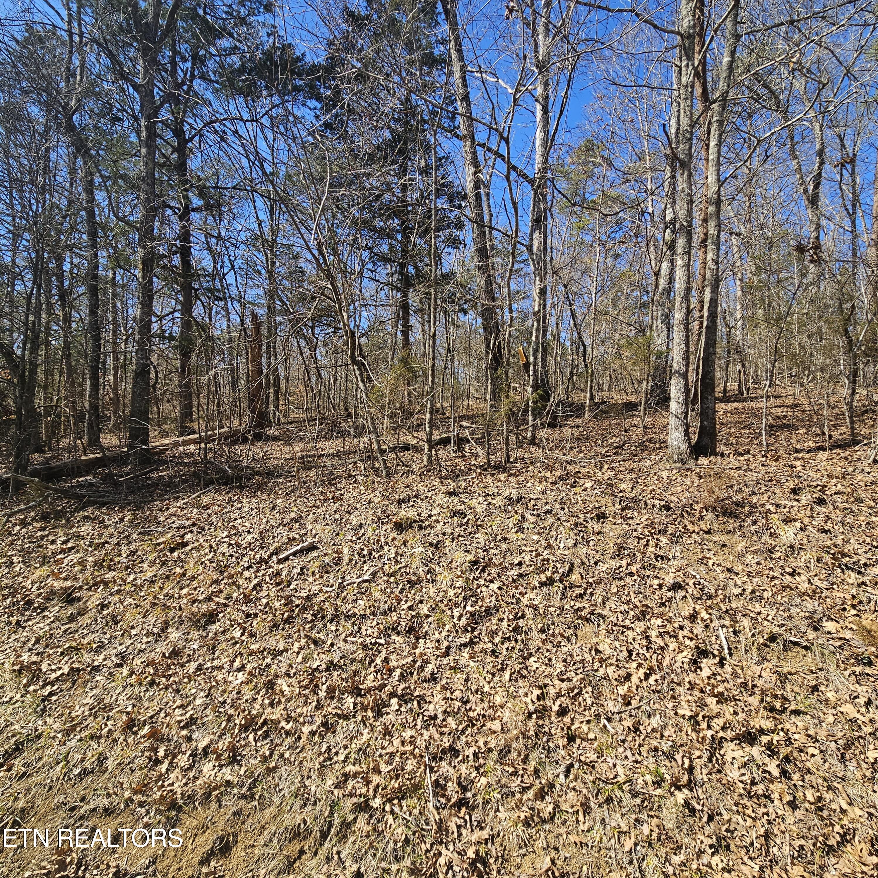0 Lick Creek Road Tellico Plains TN 37385