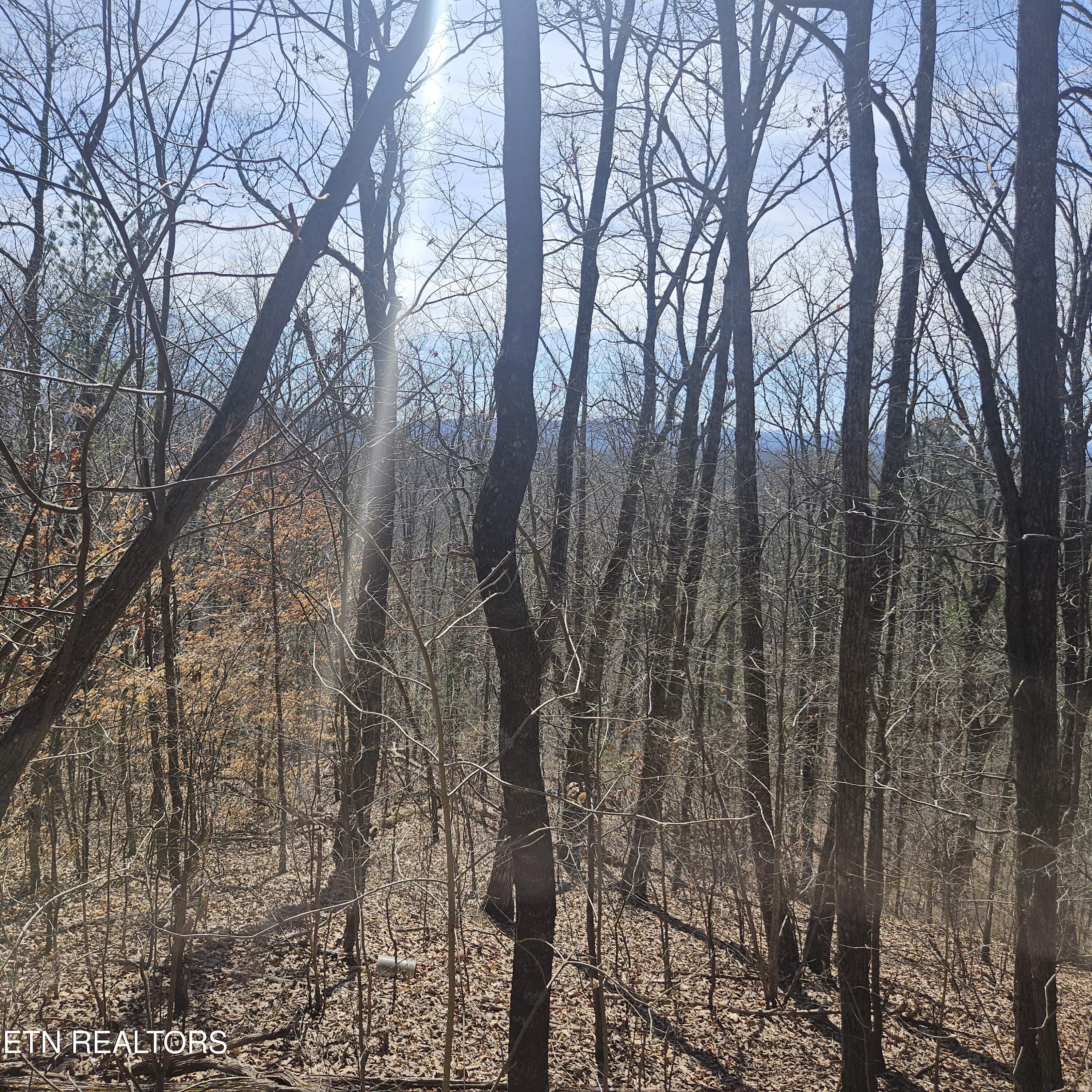 0 Lick Creek Road Tellico Plains TN 37385