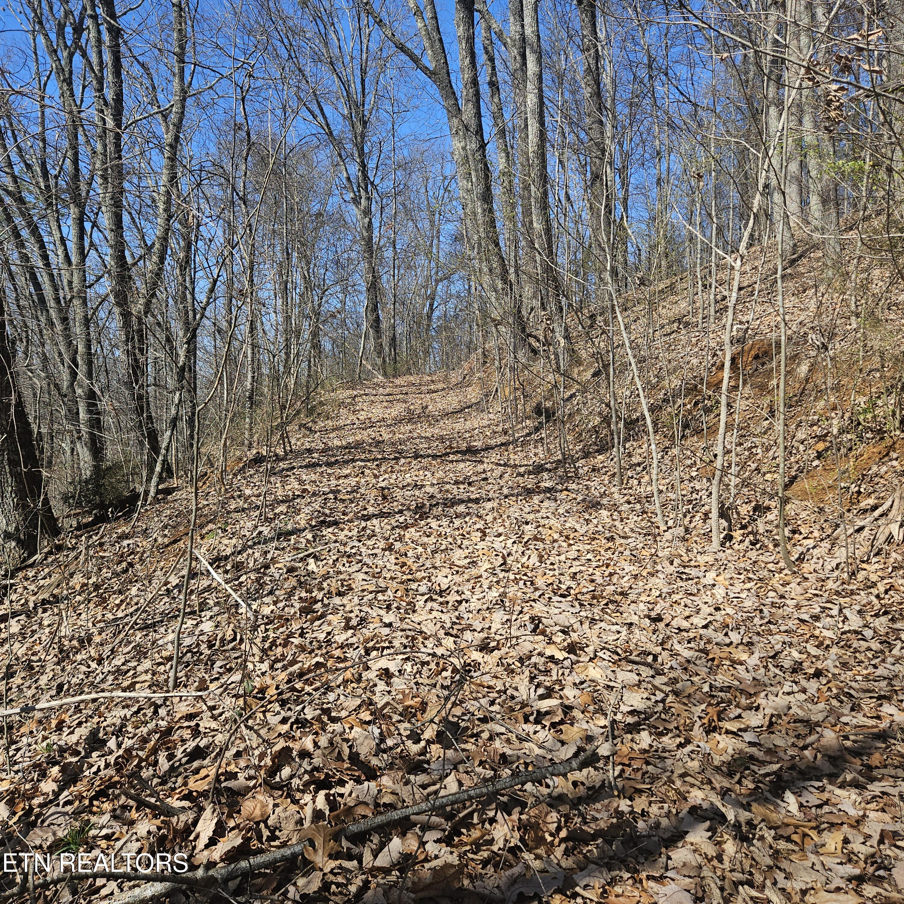 0 Lick Creek Road Tellico Plains TN 37385