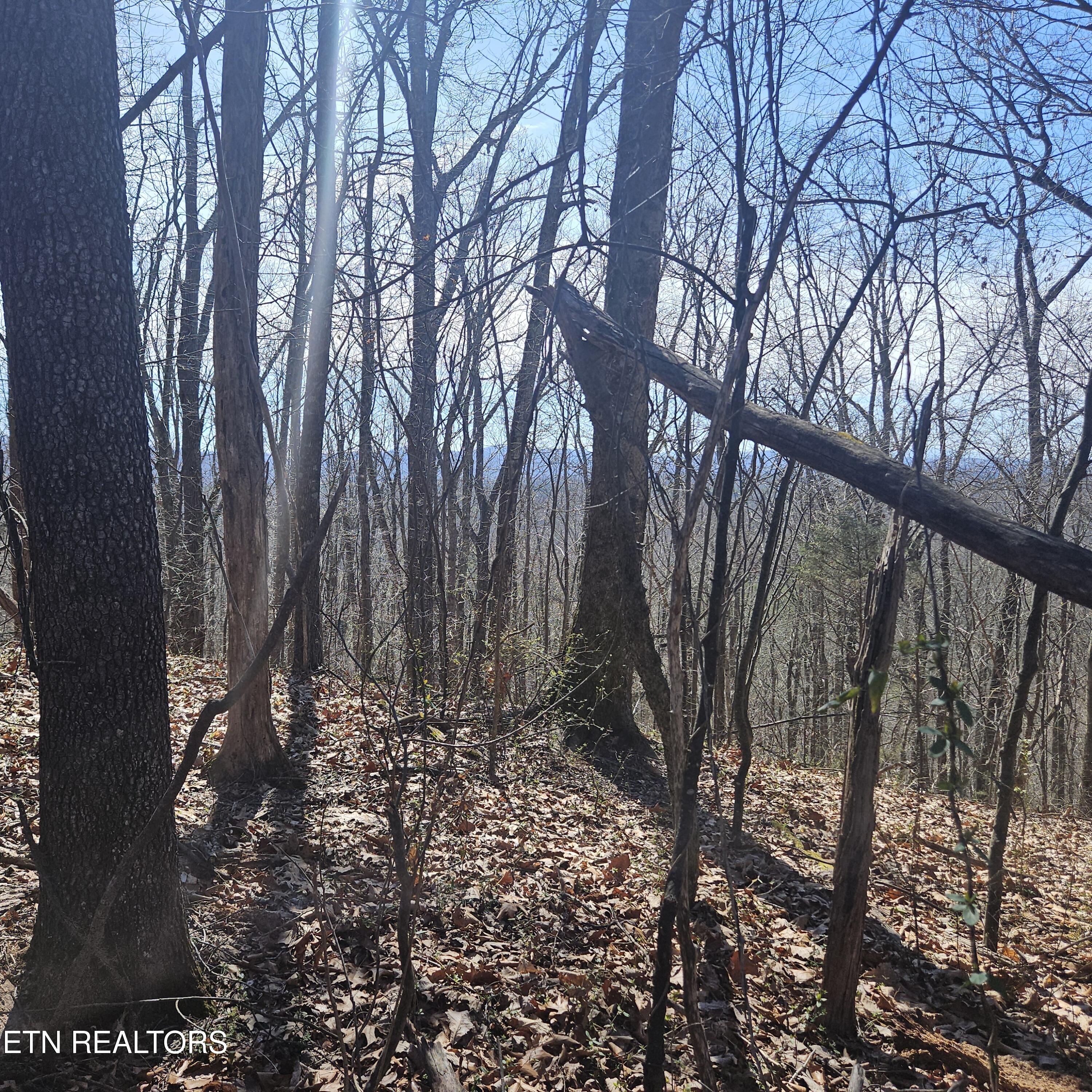 0 Lick Creek Road Tellico Plains TN 37385