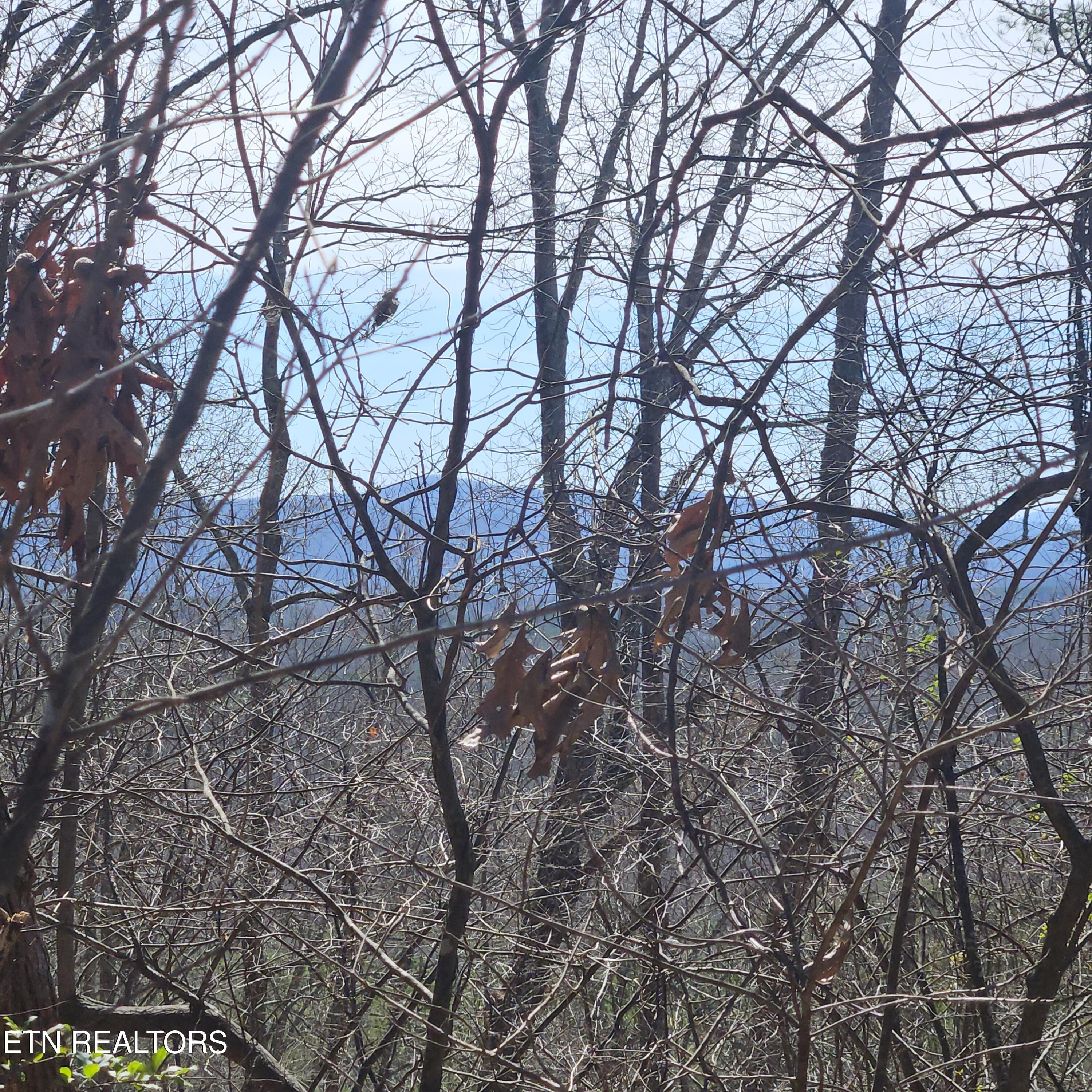 0 Lick Creek Road Tellico Plains TN 37385