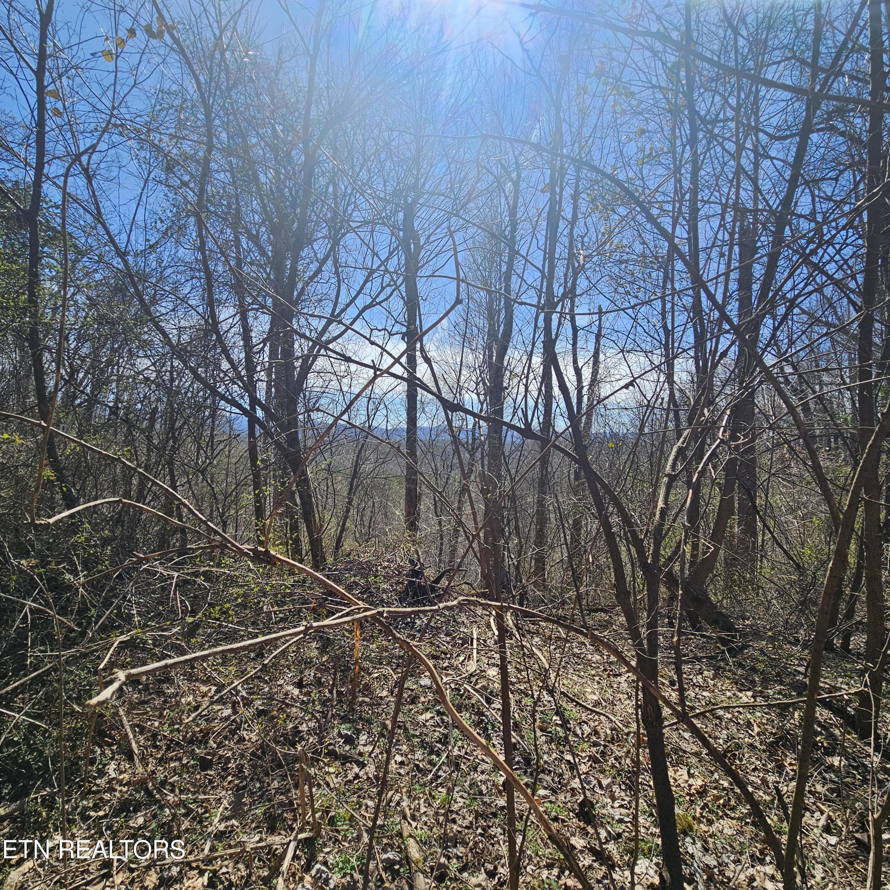 0 Lick Creek Road Tellico Plains TN 37385