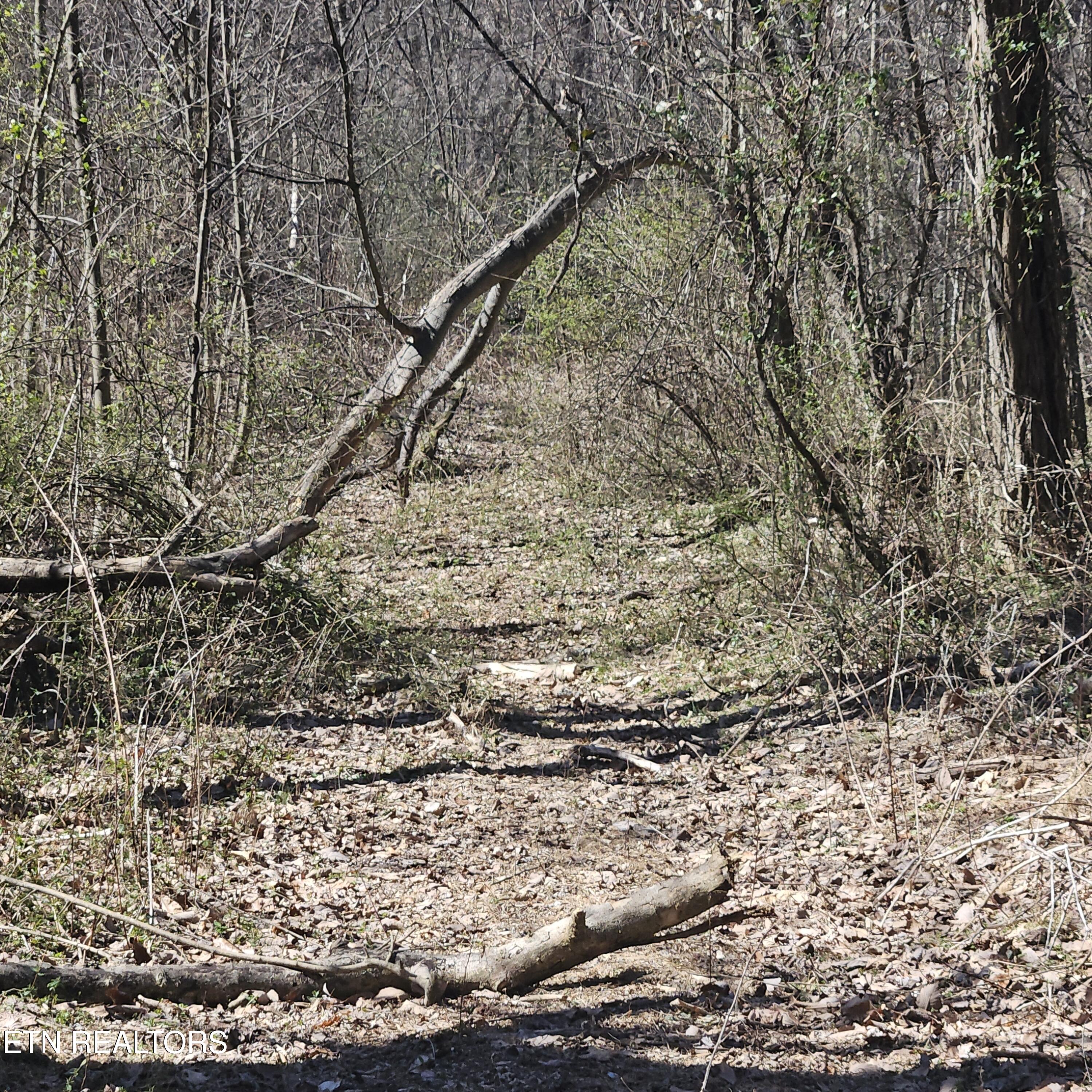 0 Lick Creek Road Tellico Plains TN 37385