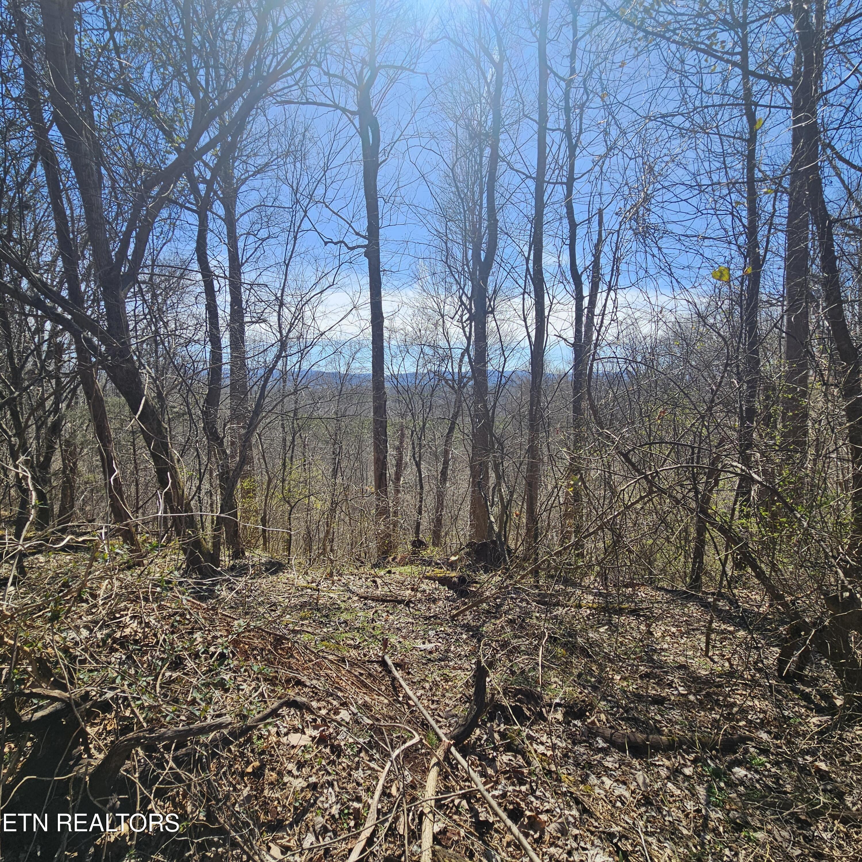 0 Lick Creek Road Tellico Plains TN 37385