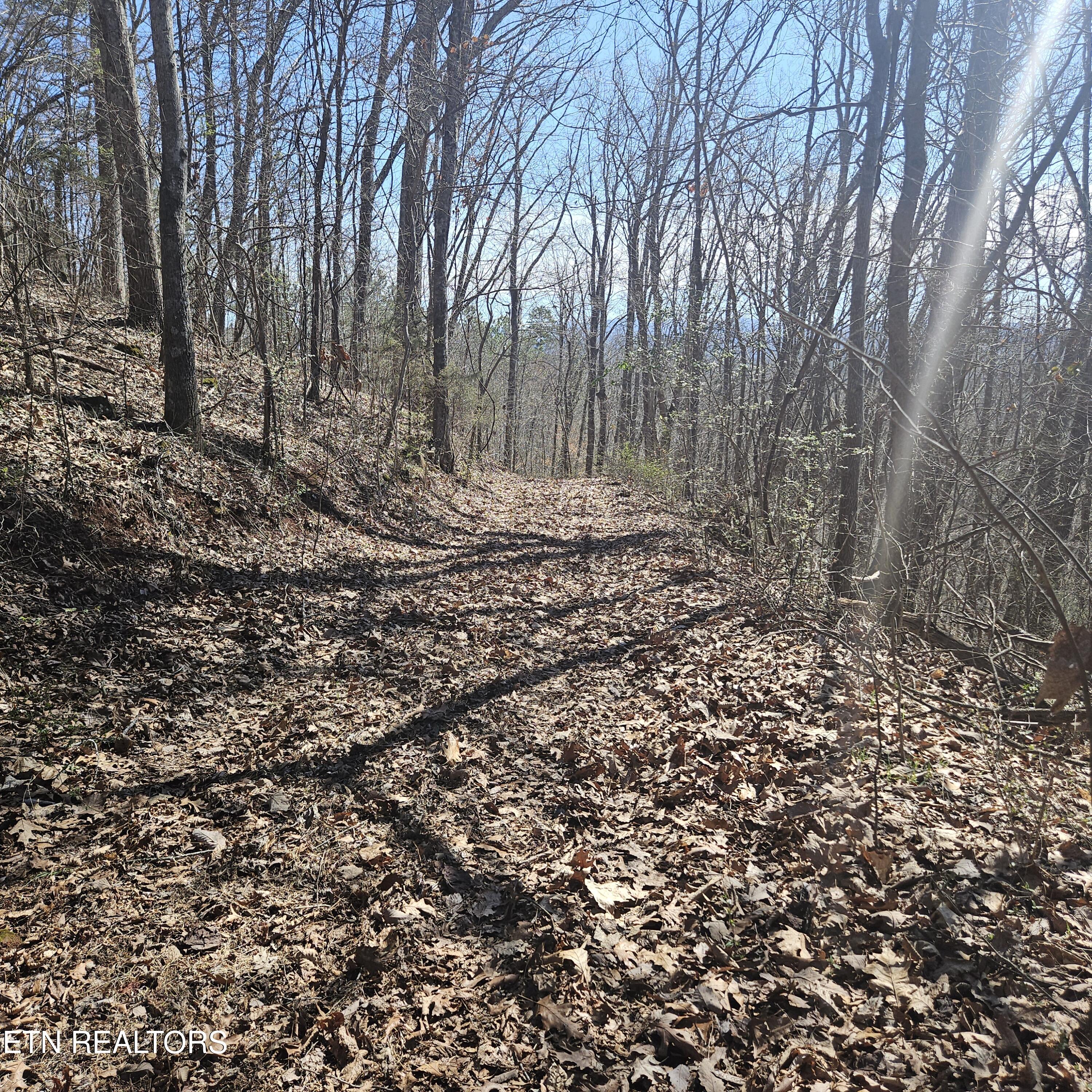 0 Lick Creek Road Tellico Plains TN 37385