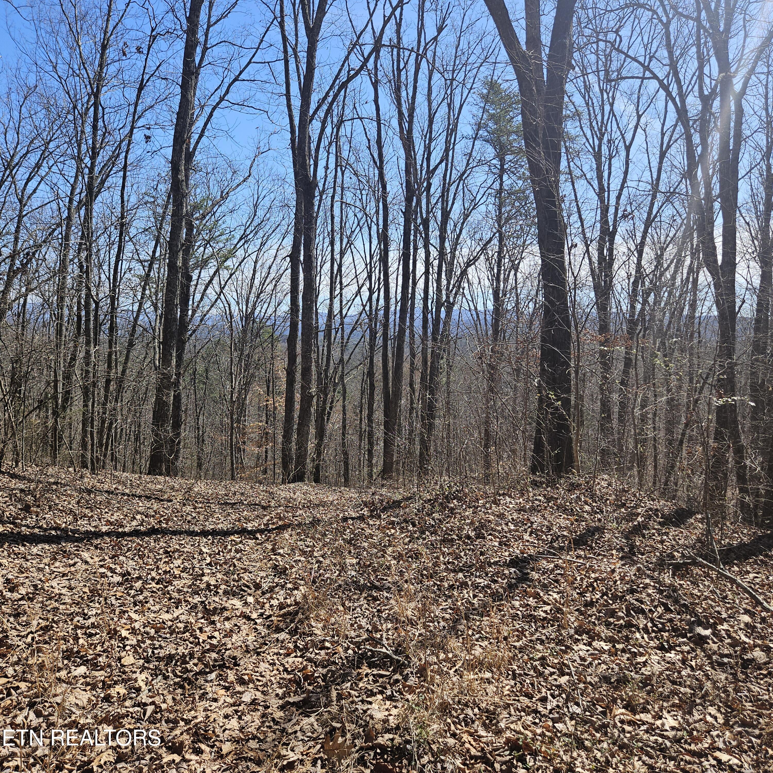 0 Lick Creek Road Tellico Plains TN 37385