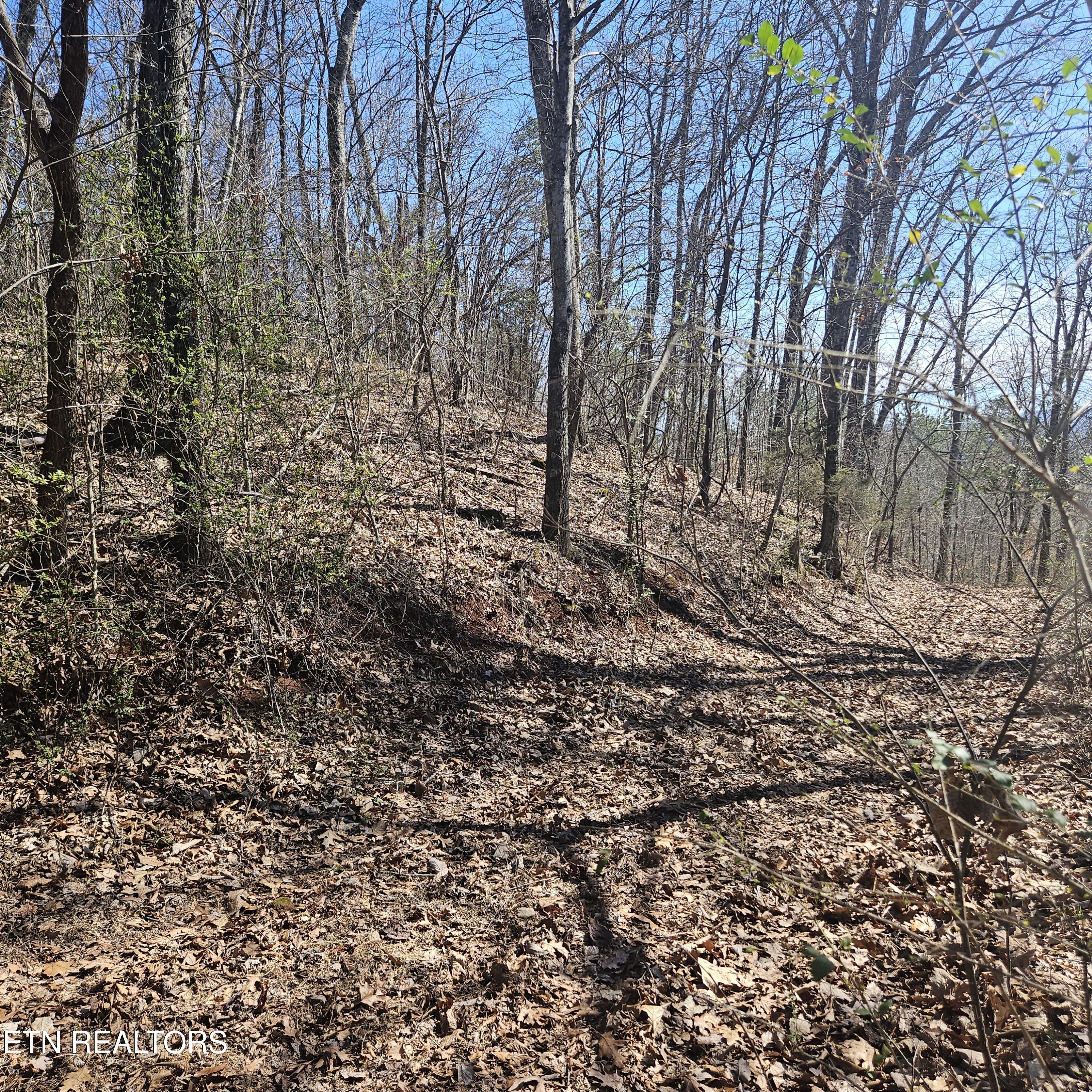 0 Lick Creek Road Tellico Plains TN 37385