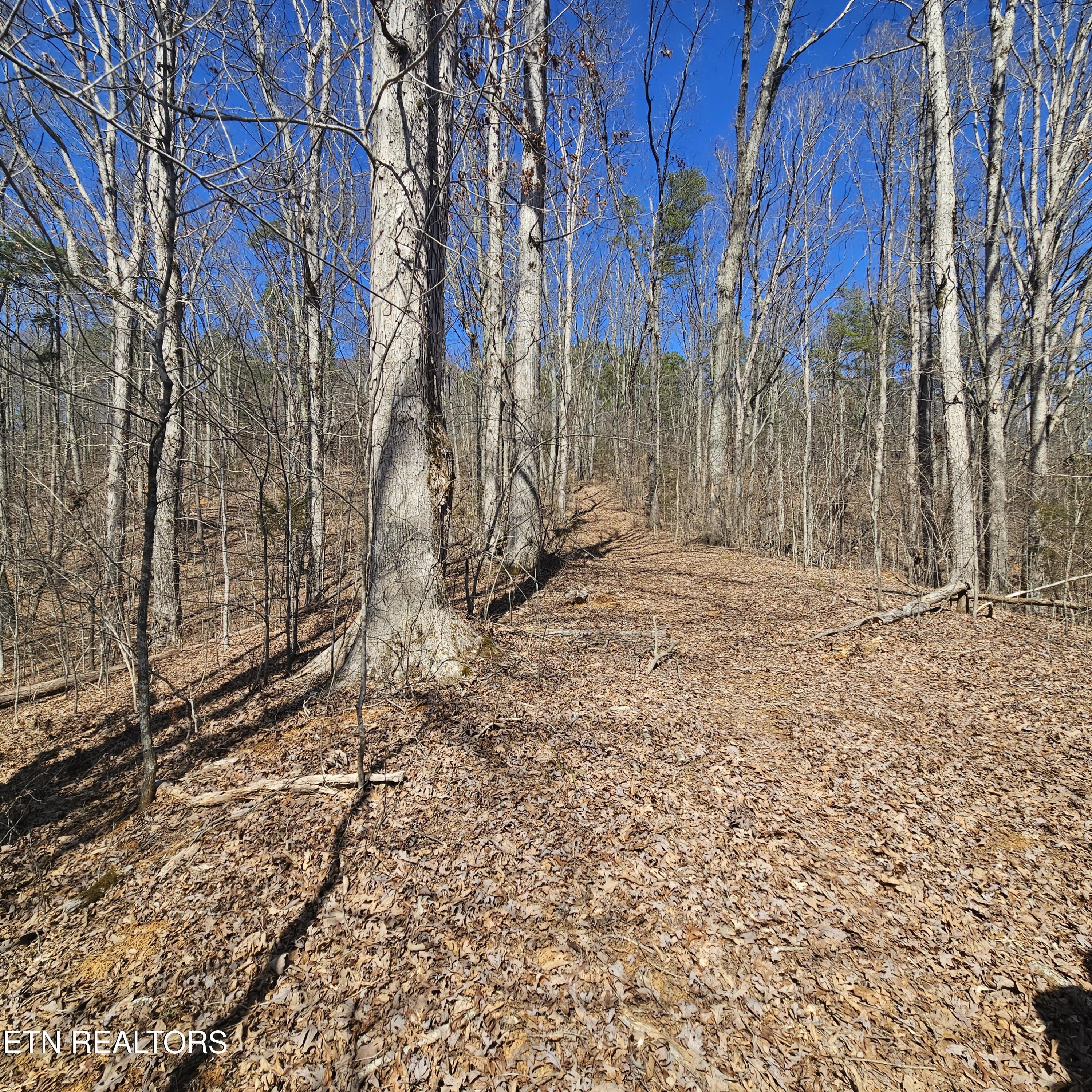 0 Lick Creek Road Tellico Plains TN 37385