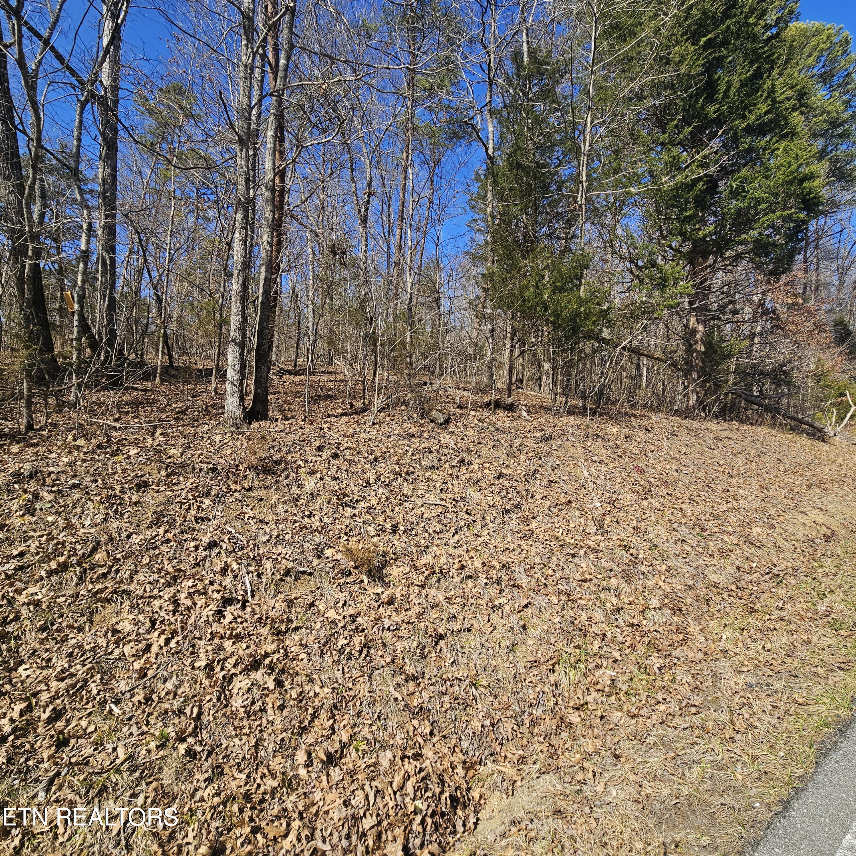 0 Lick Creek Road Tellico Plains TN 37385