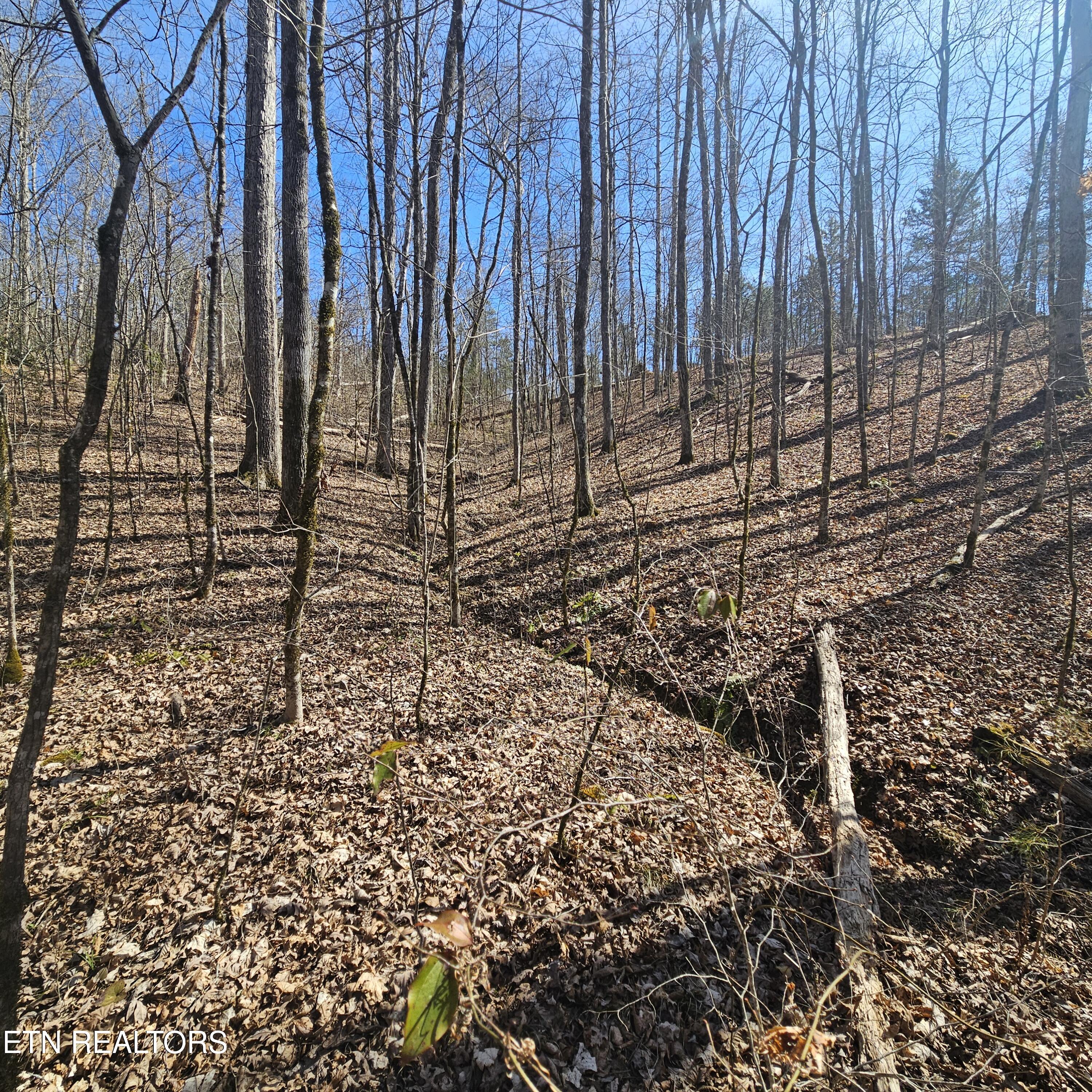 0 Lick Creek Road Tellico Plains TN 37385