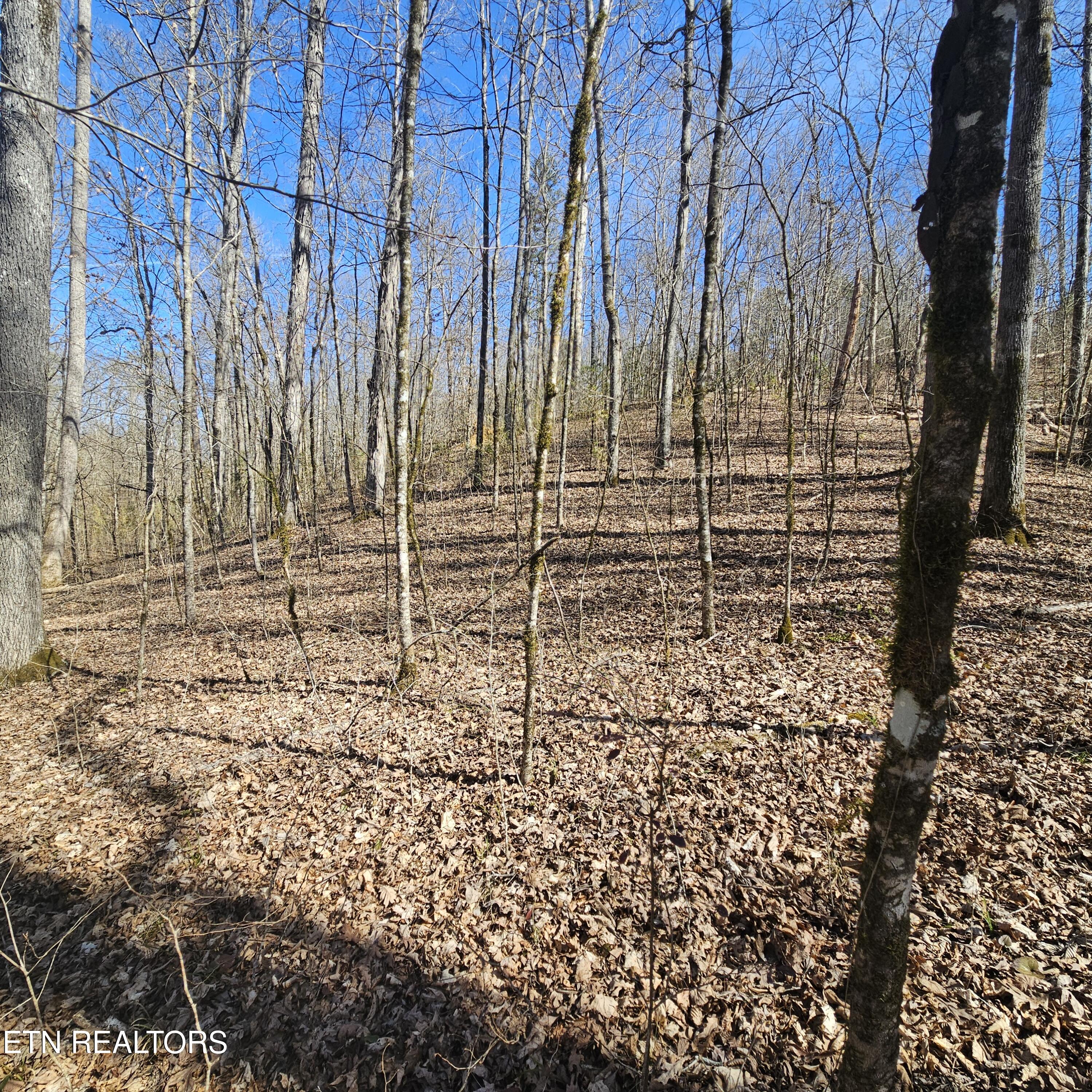 0 Lick Creek Road Tellico Plains TN 37385