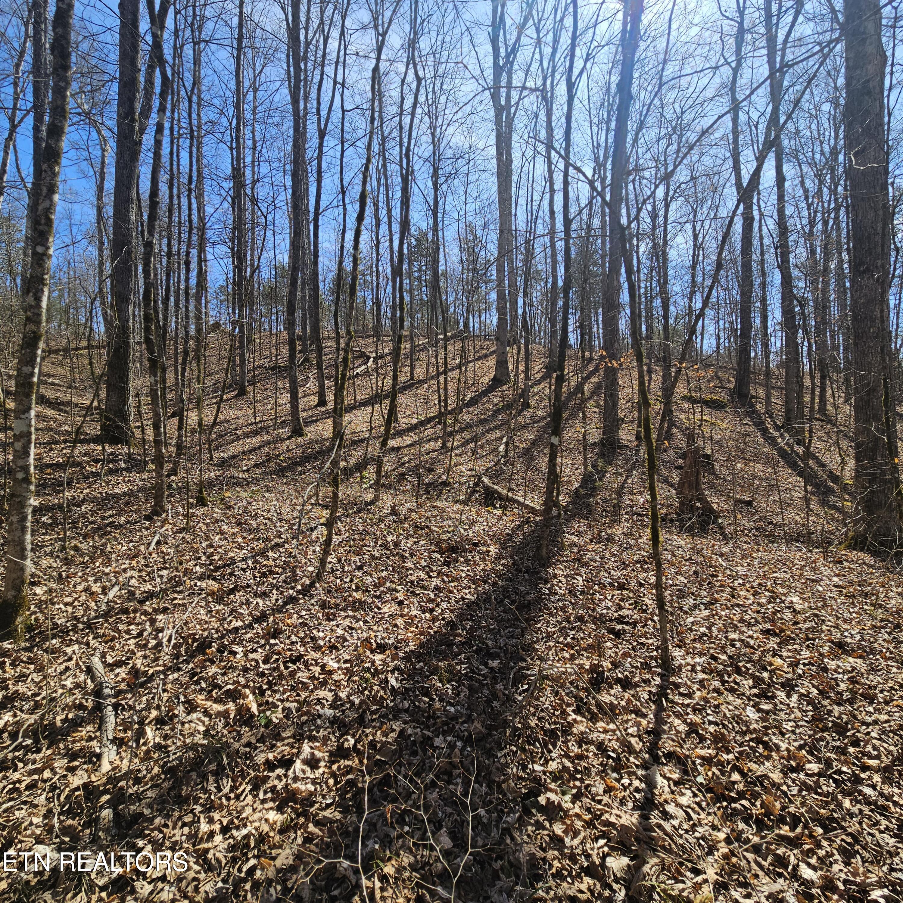 0 Lick Creek Road Tellico Plains TN 37385