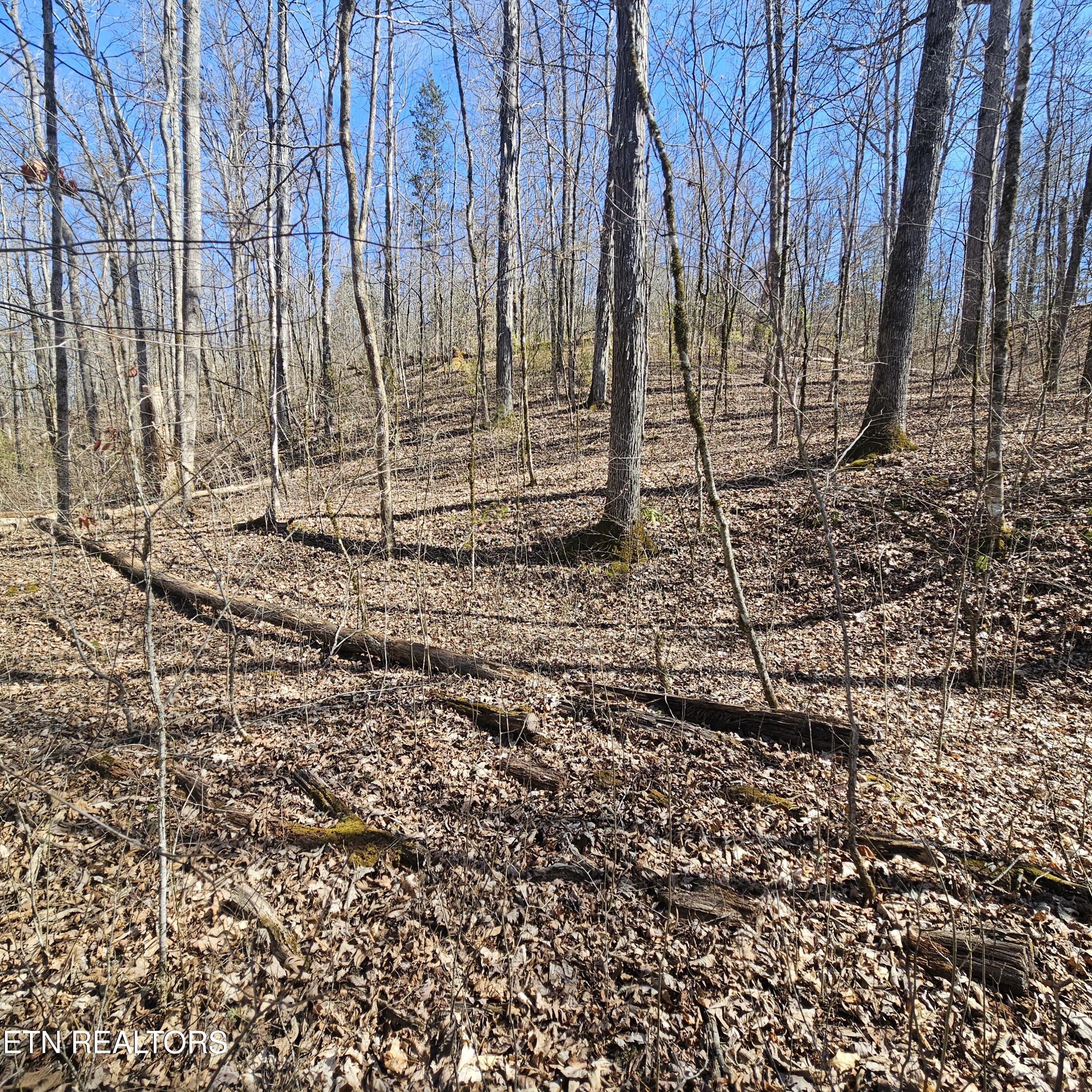 0 Lick Creek Road Tellico Plains TN 37385