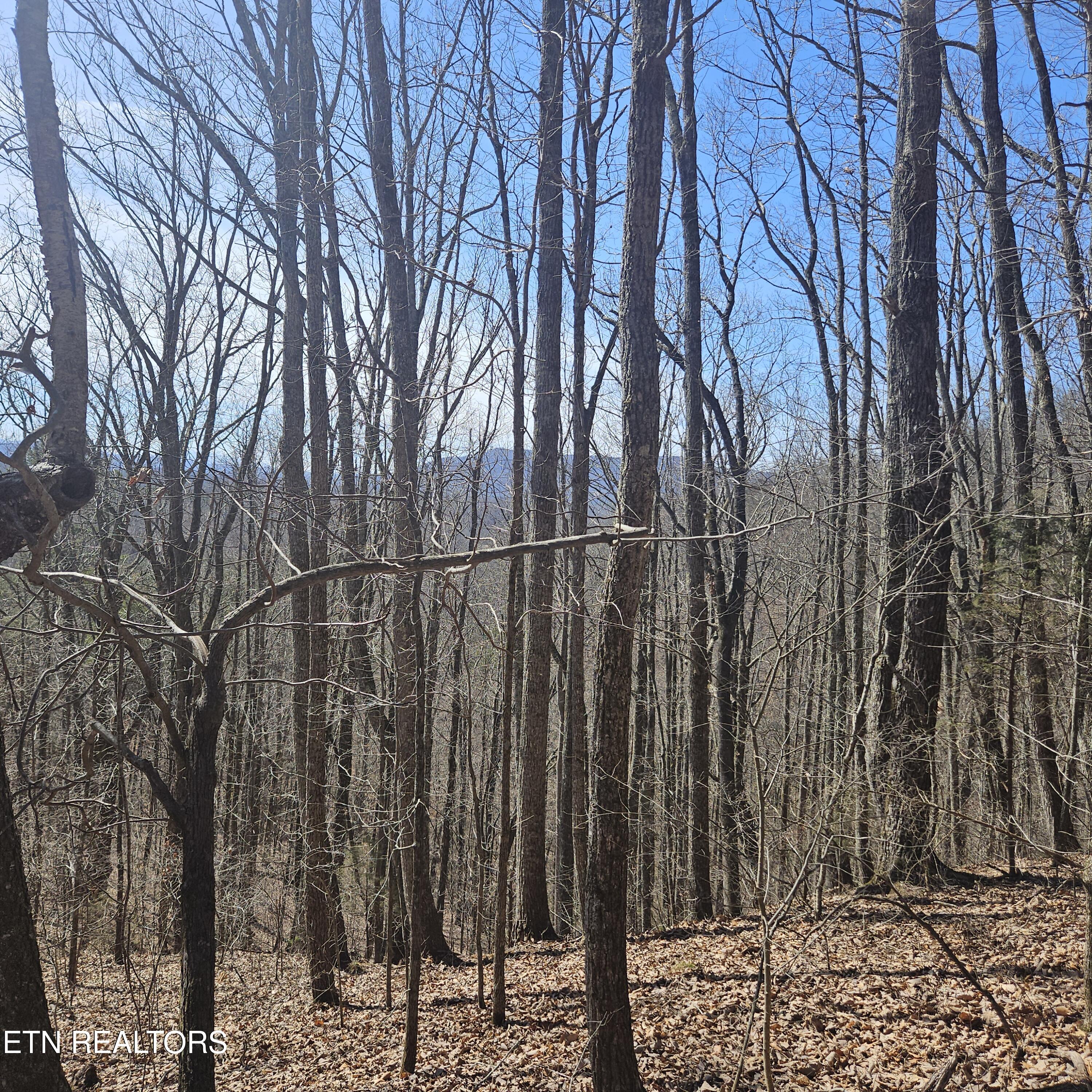 0 Lick Creek Road Tellico Plains TN 37385