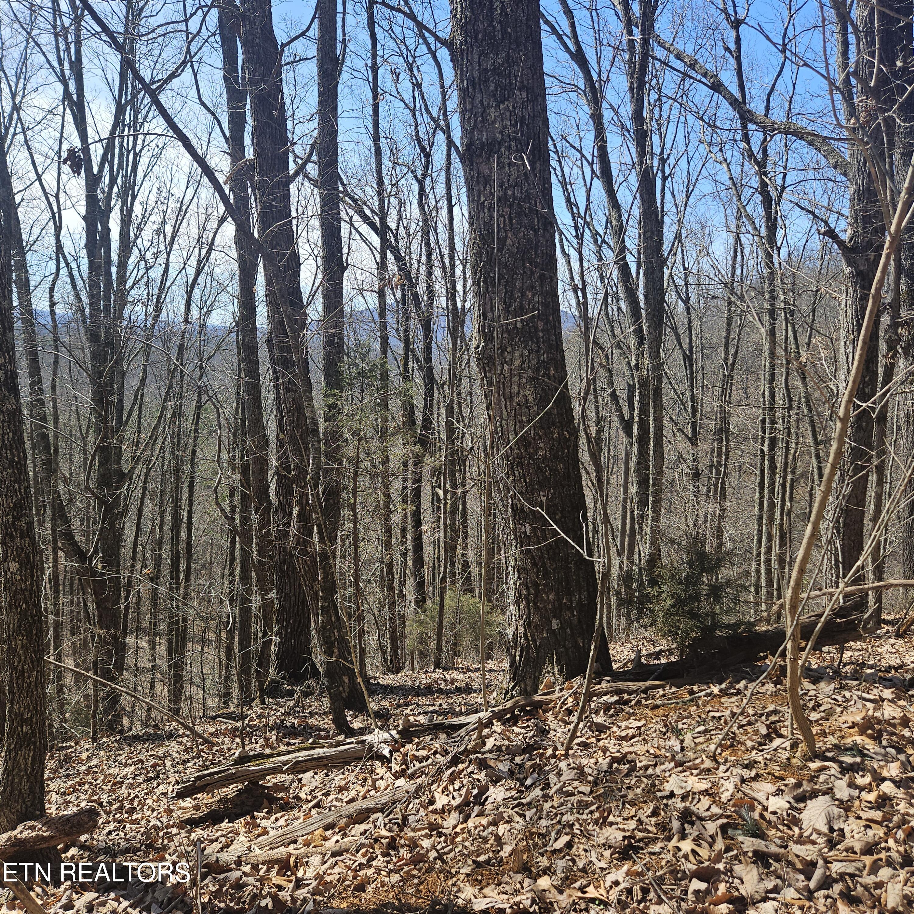 0 Lick Creek Road Tellico Plains TN 37385