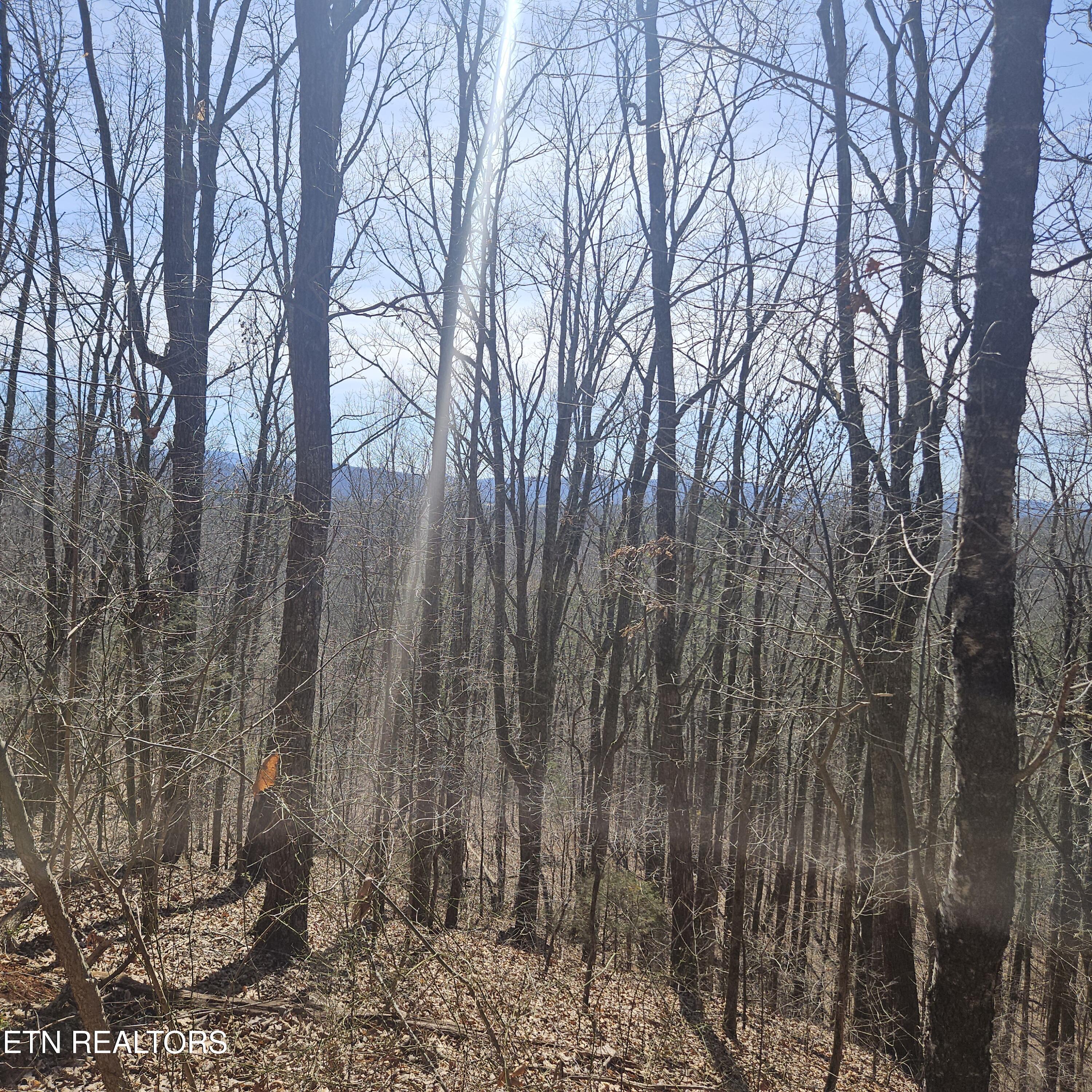 0 Lick Creek Road Tellico Plains TN 37385