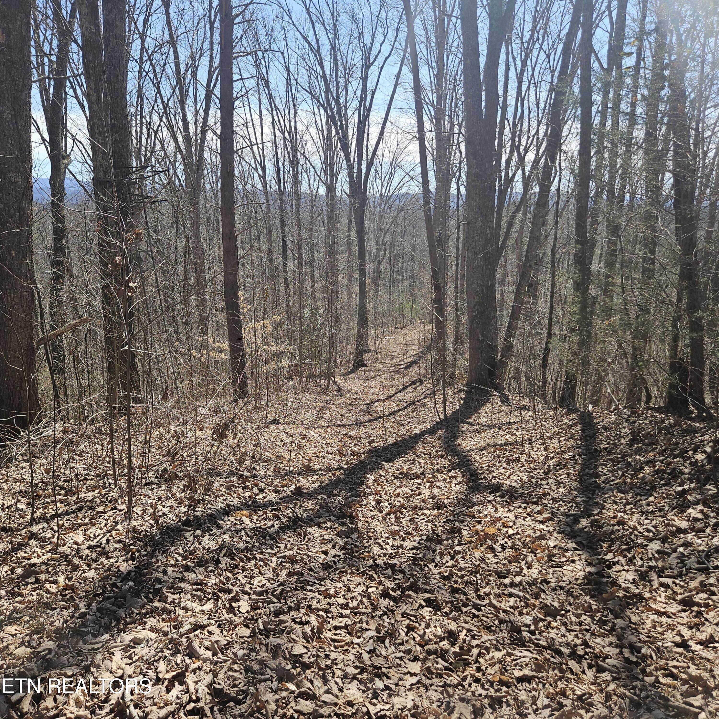 0 Lick Creek Road Tellico Plains TN 37385