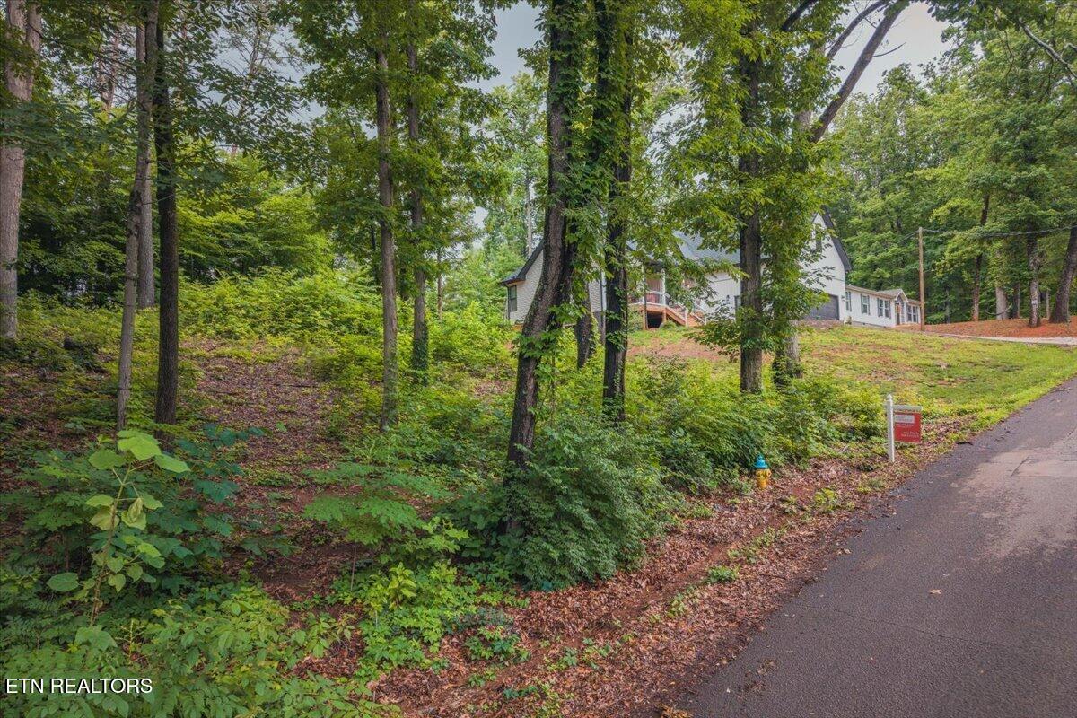 1215 Navy Drive Knoxville TN 37920