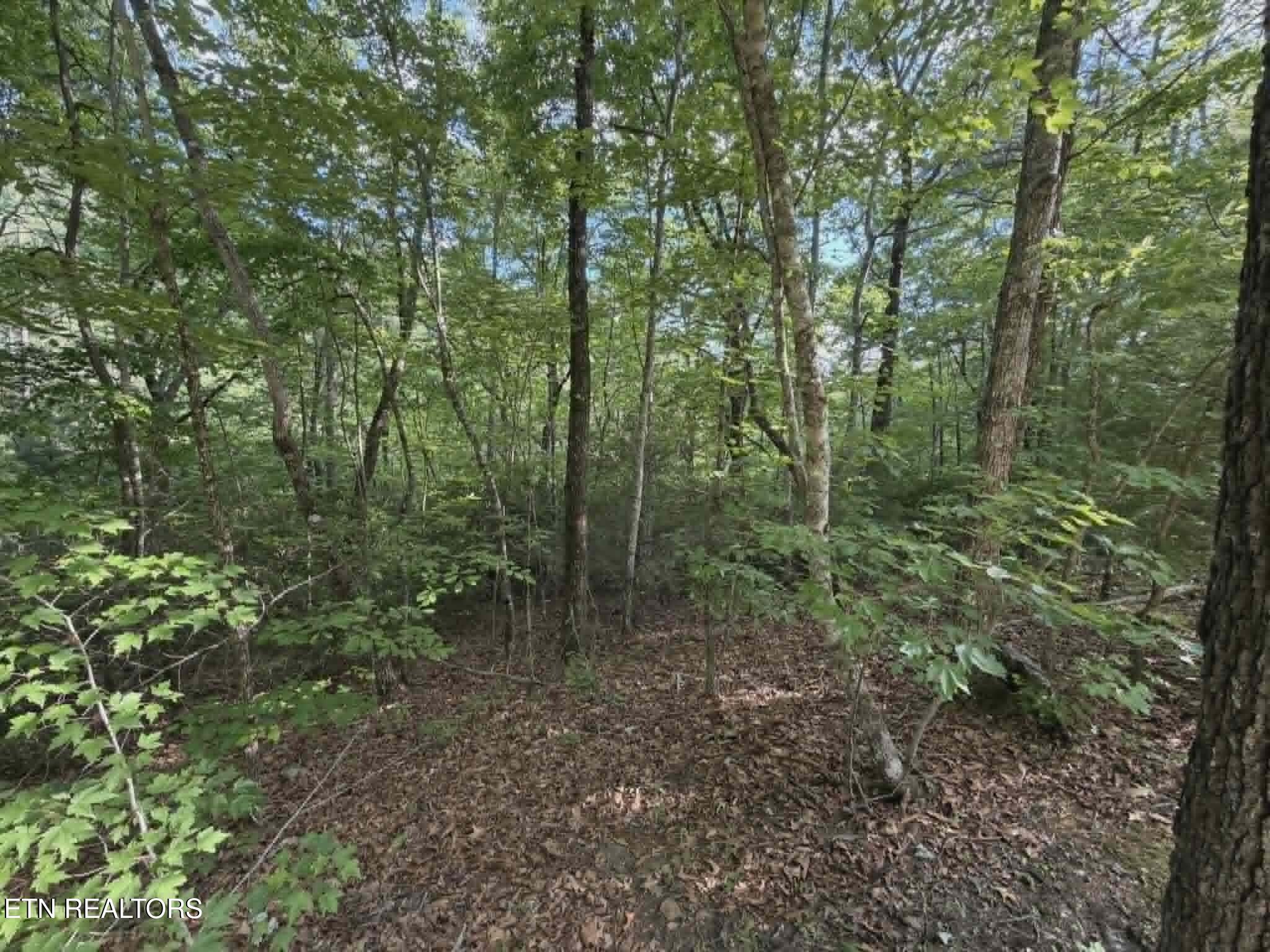 Fox Hunters Lane Sevierville TN 37876