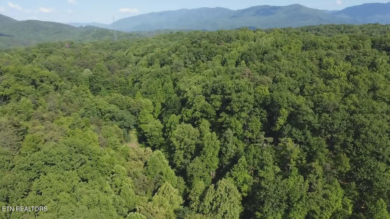 Fox Hunters Lane Sevierville TN 37876