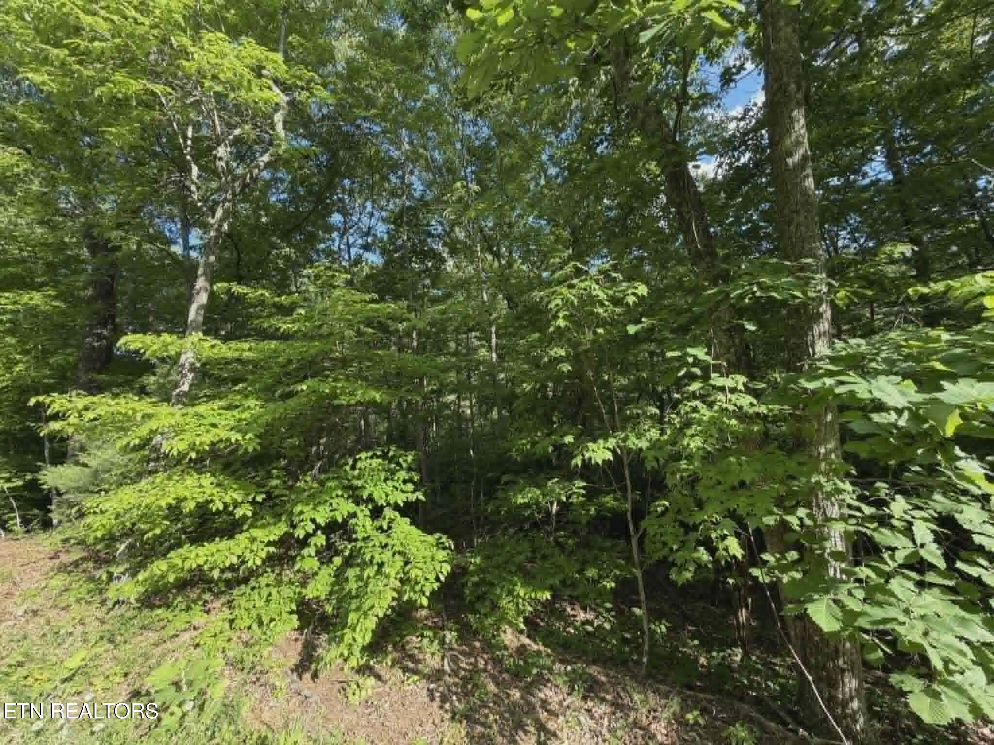 Fox Hunters Lane Sevierville TN 37876