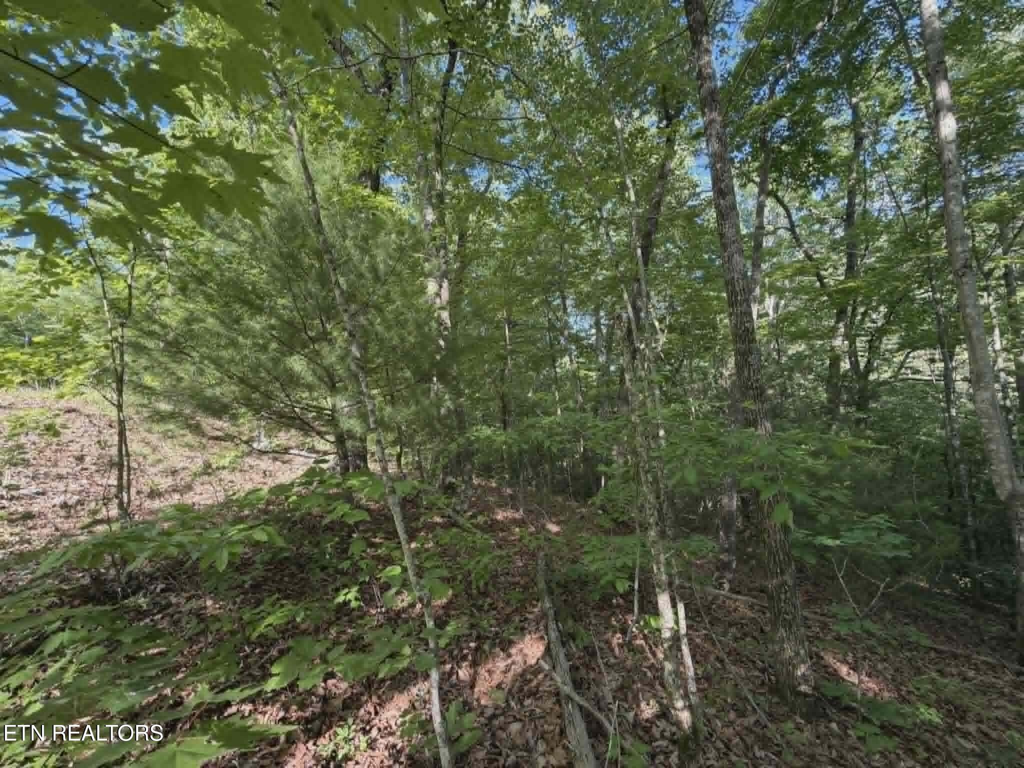 Fox Hunters Lane Sevierville TN 37876