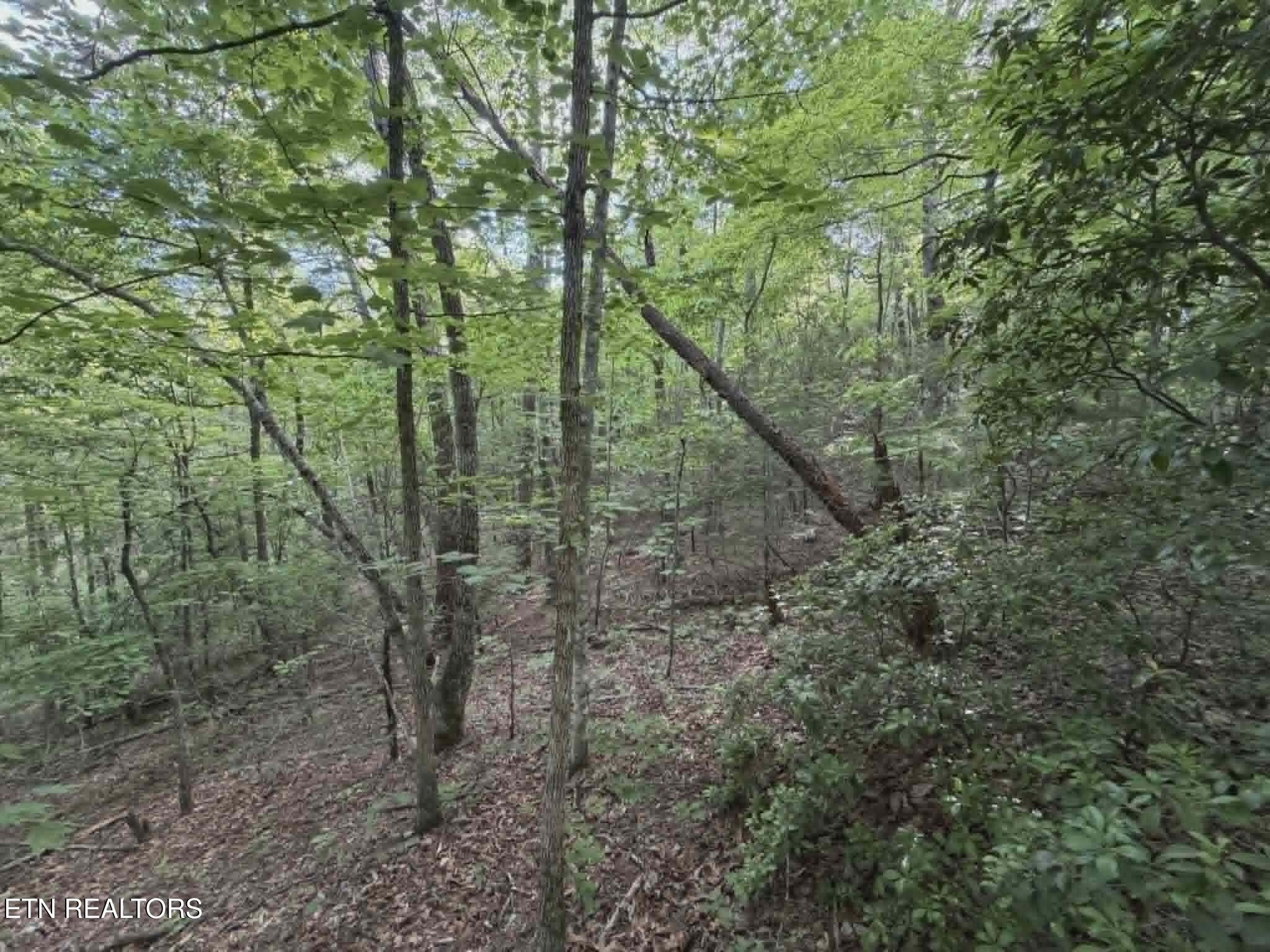 Fox Hunters Lane Sevierville TN 37876