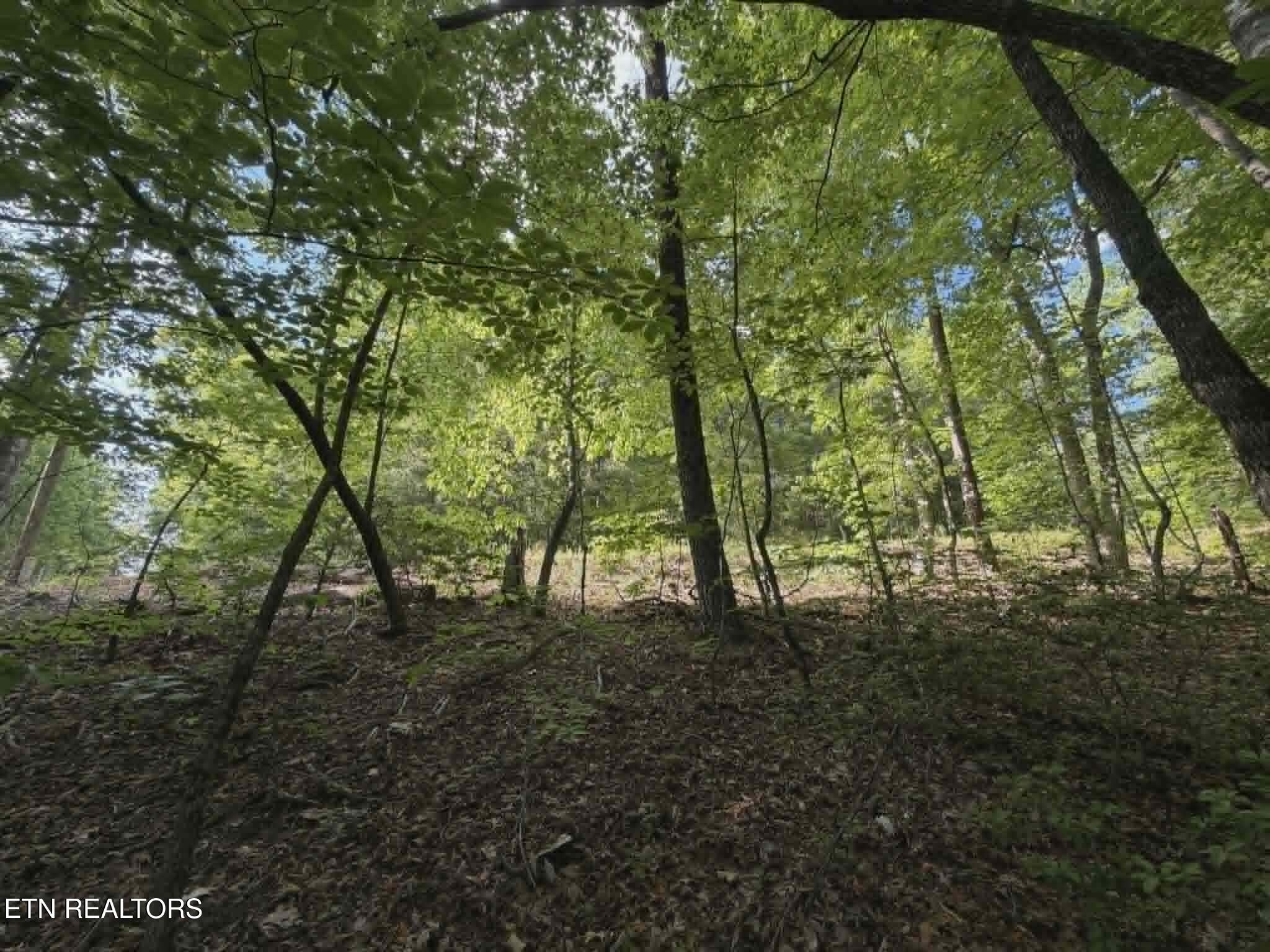 Fox Hunters Lane Sevierville TN 37876