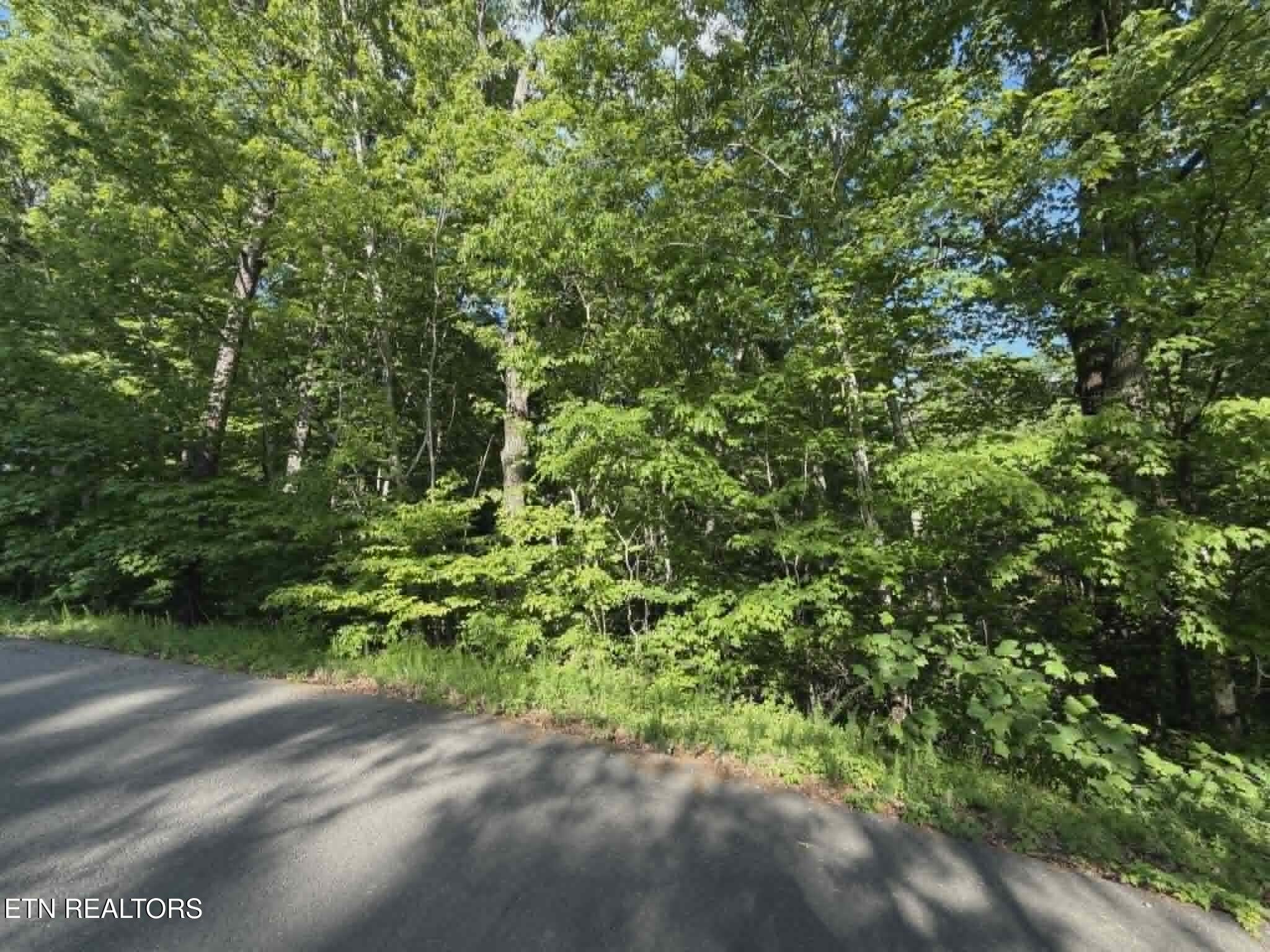 Fox Hunters Lane Sevierville TN 37876