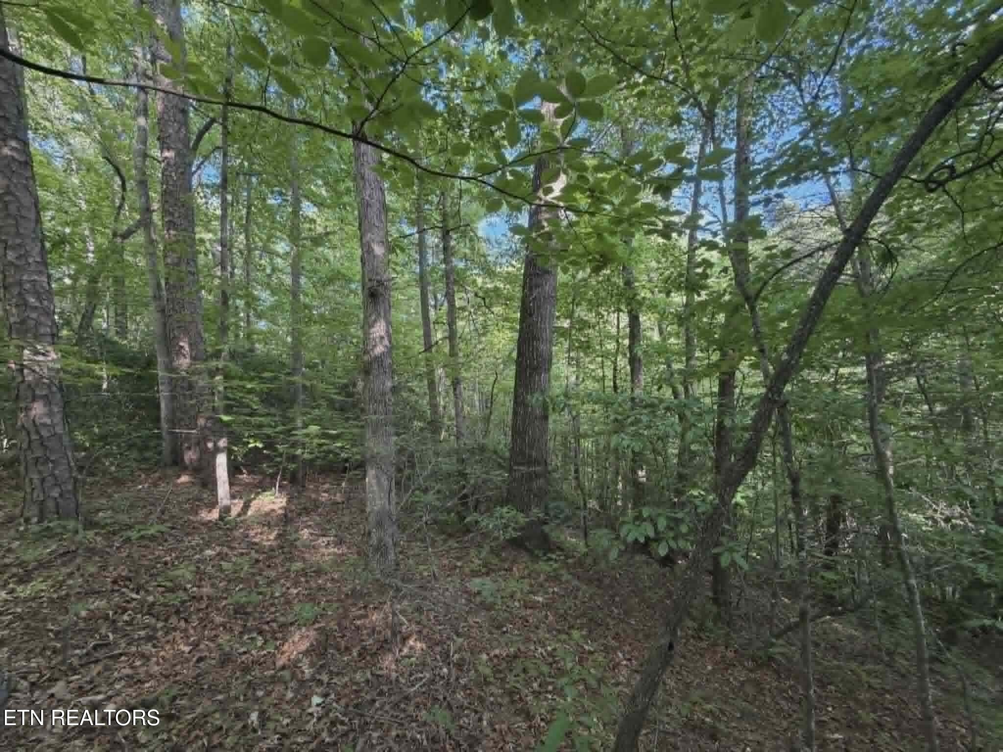 Fox Hunters Lane Sevierville TN 37876