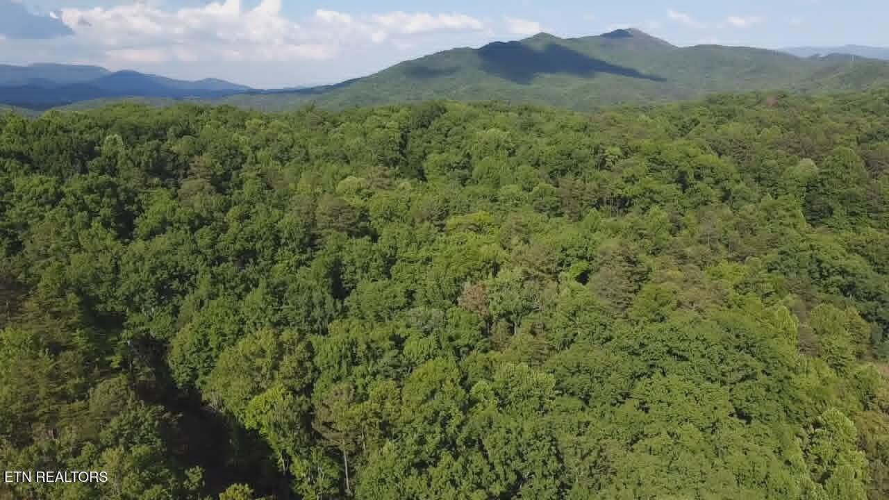 Fox Hunters Lane Sevierville TN 37876