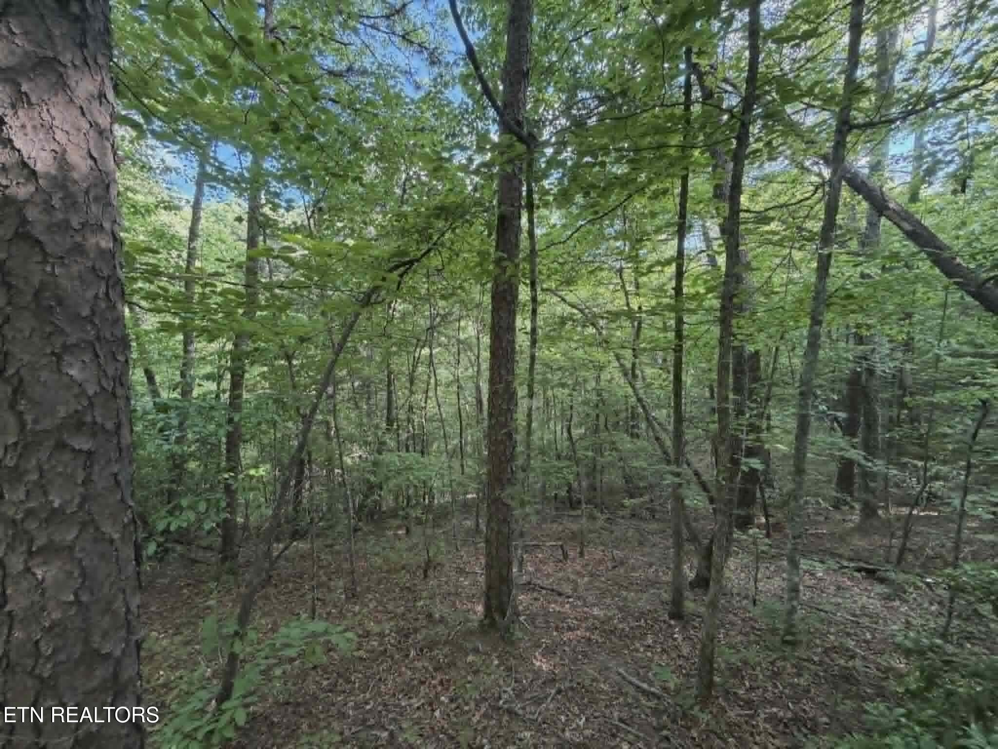 Fox Hunters Lane Sevierville TN 37876