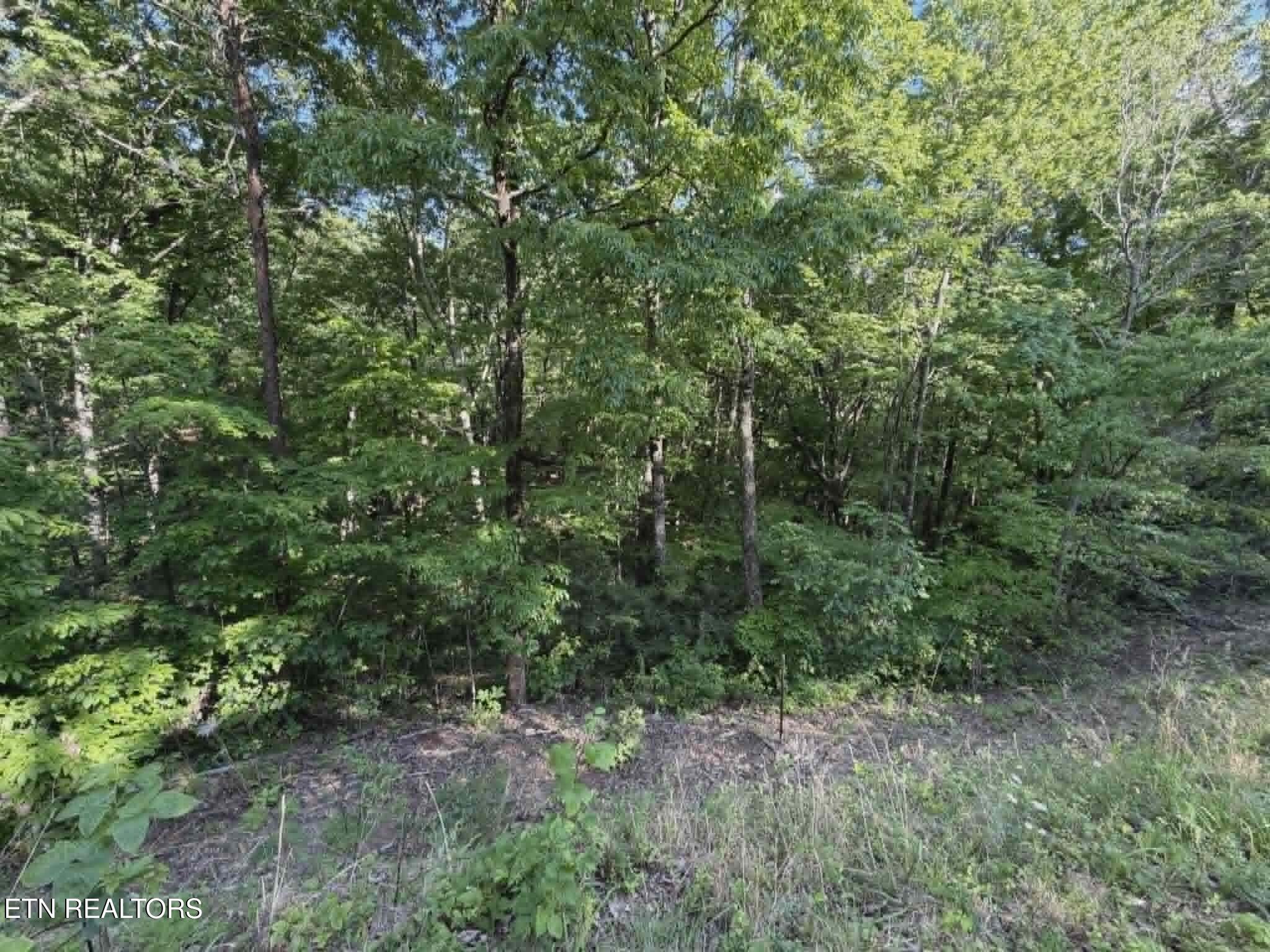 Fox Hunters Lane Sevierville TN 37876