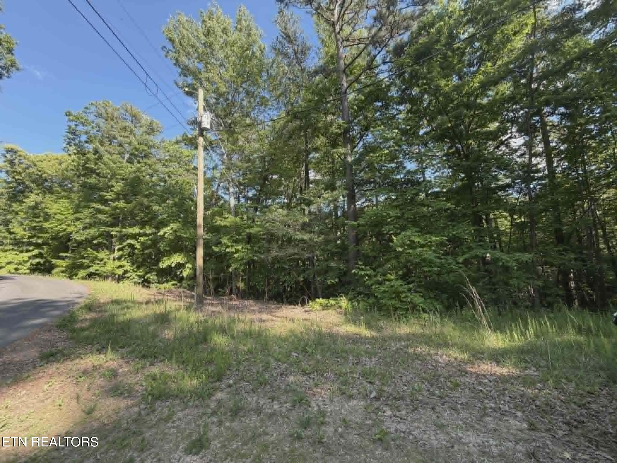 Fox Hunters Lane Sevierville TN 37876