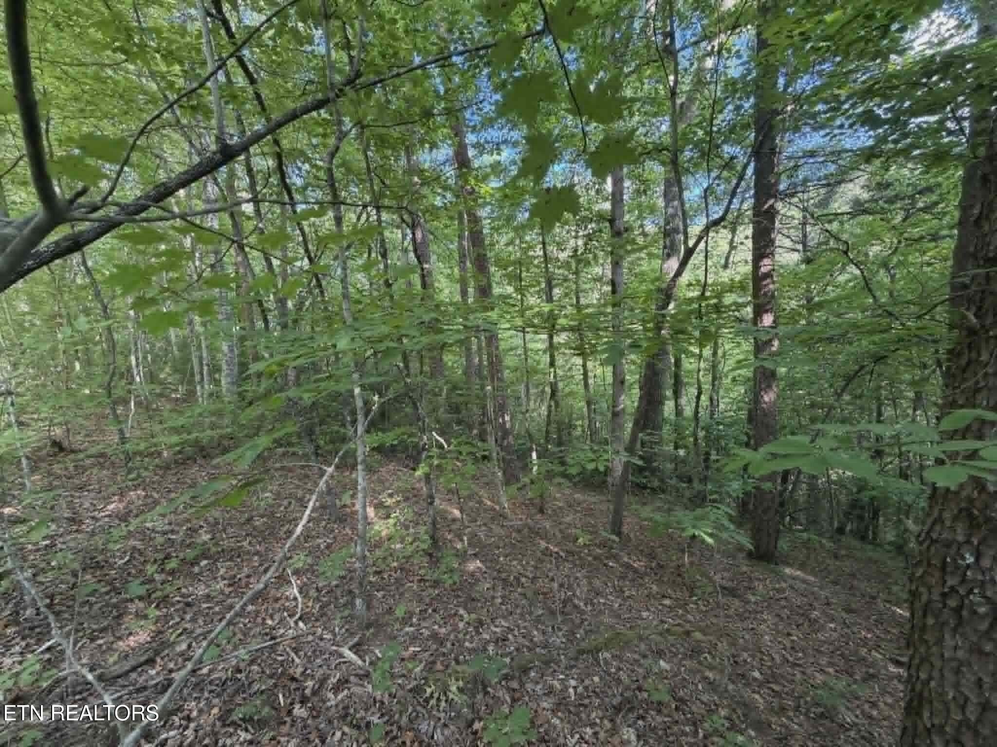 Fox Hunters Lane Sevierville TN 37876