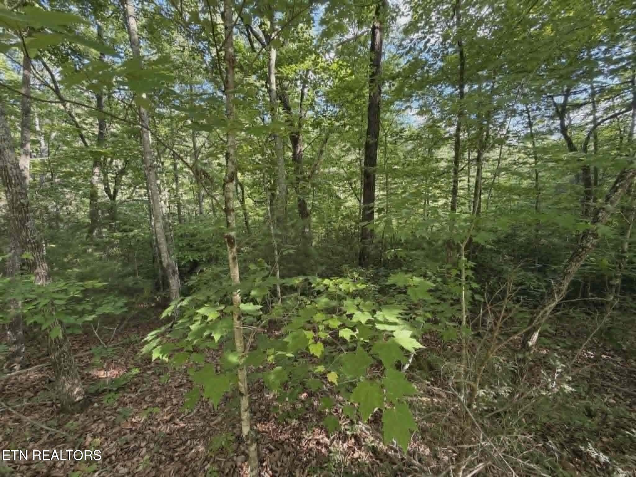 Fox Hunters Lane Sevierville TN 37876