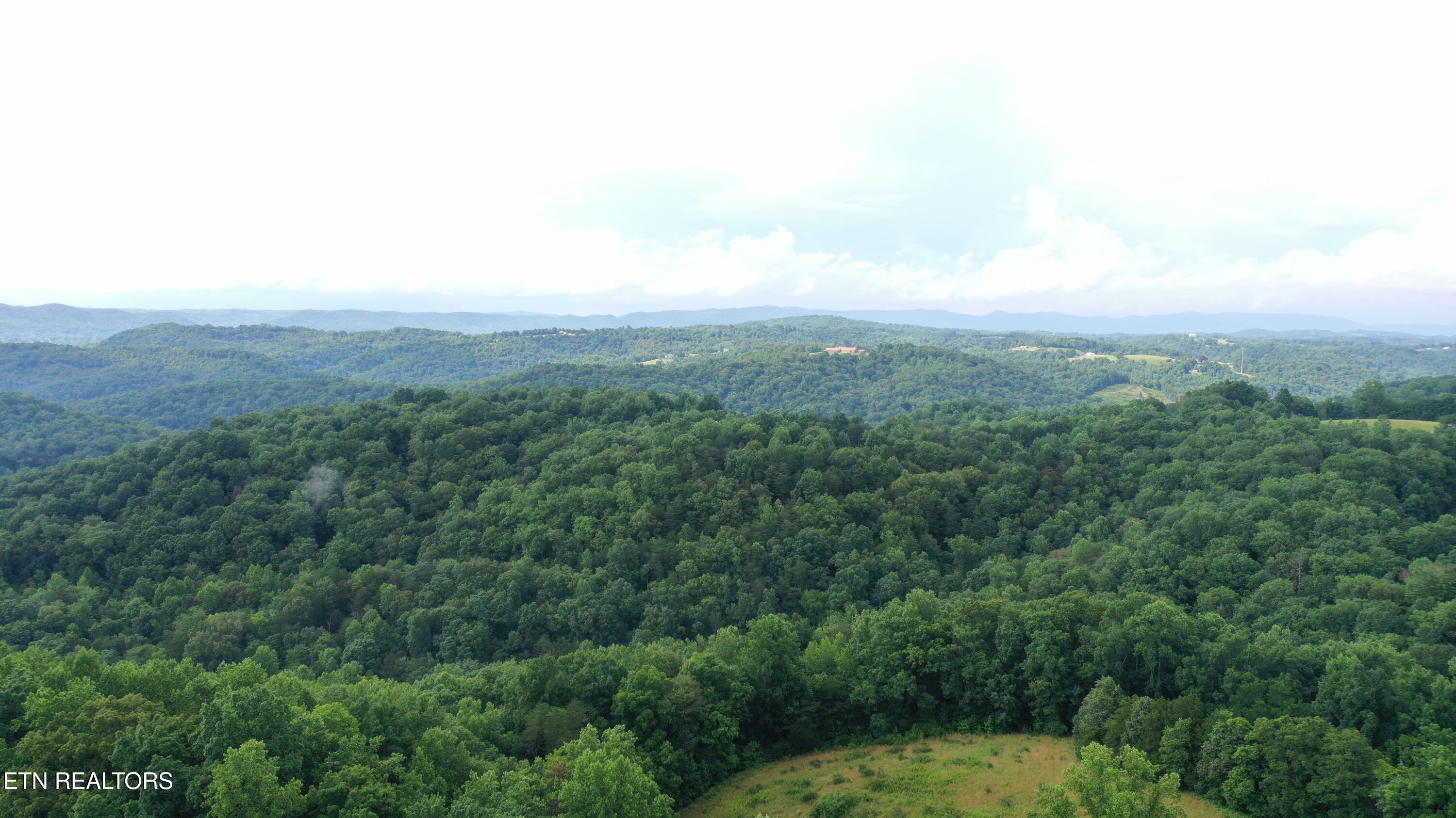 1514 Chestnut Stump Road Lafollette TN 37766