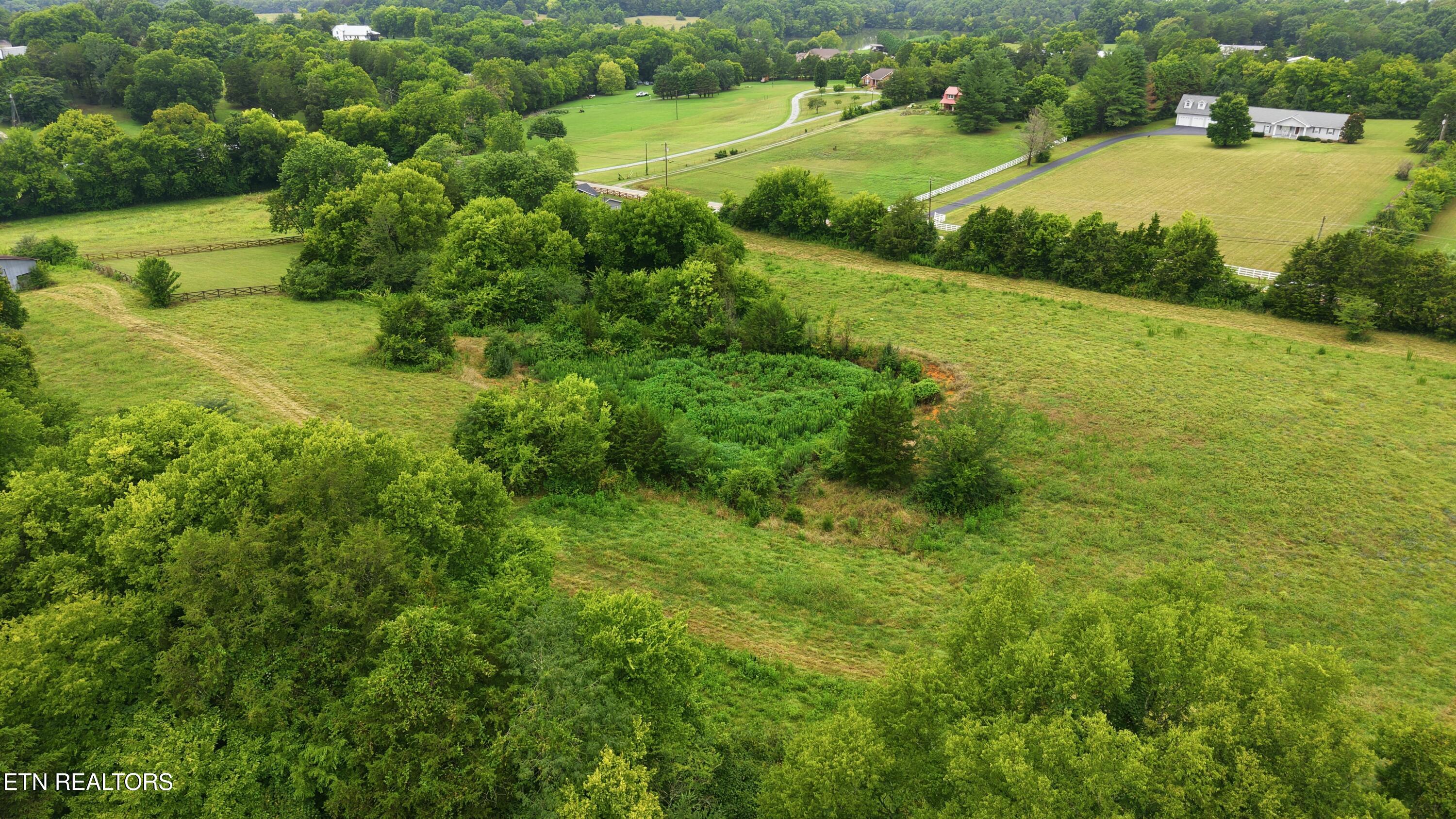 4531 Miser Station Road Friendsville TN 37737