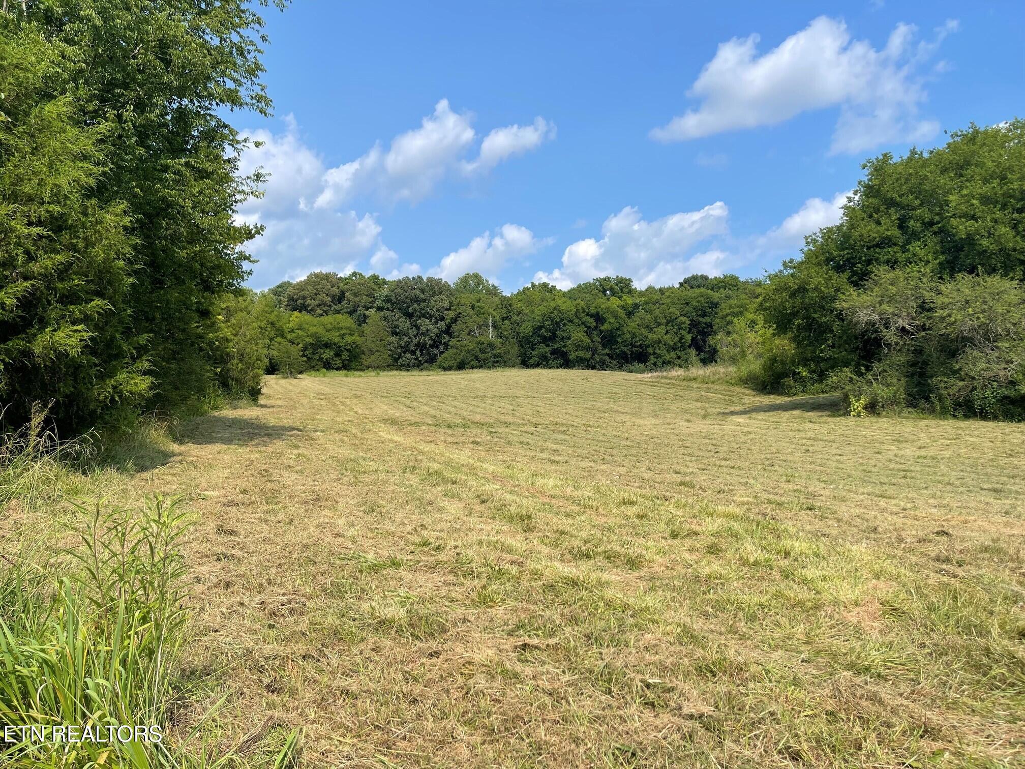 4531 Miser Station Road Friendsville TN 37737