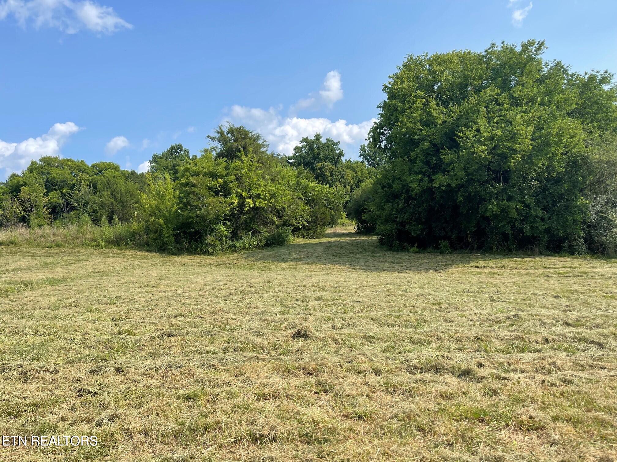 4531 Miser Station Road Friendsville TN 37737
