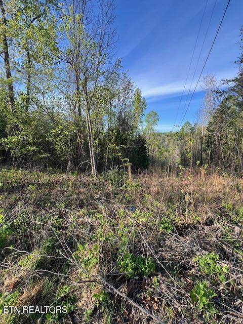 Pine Hollow Road Jacksboro TN 37757